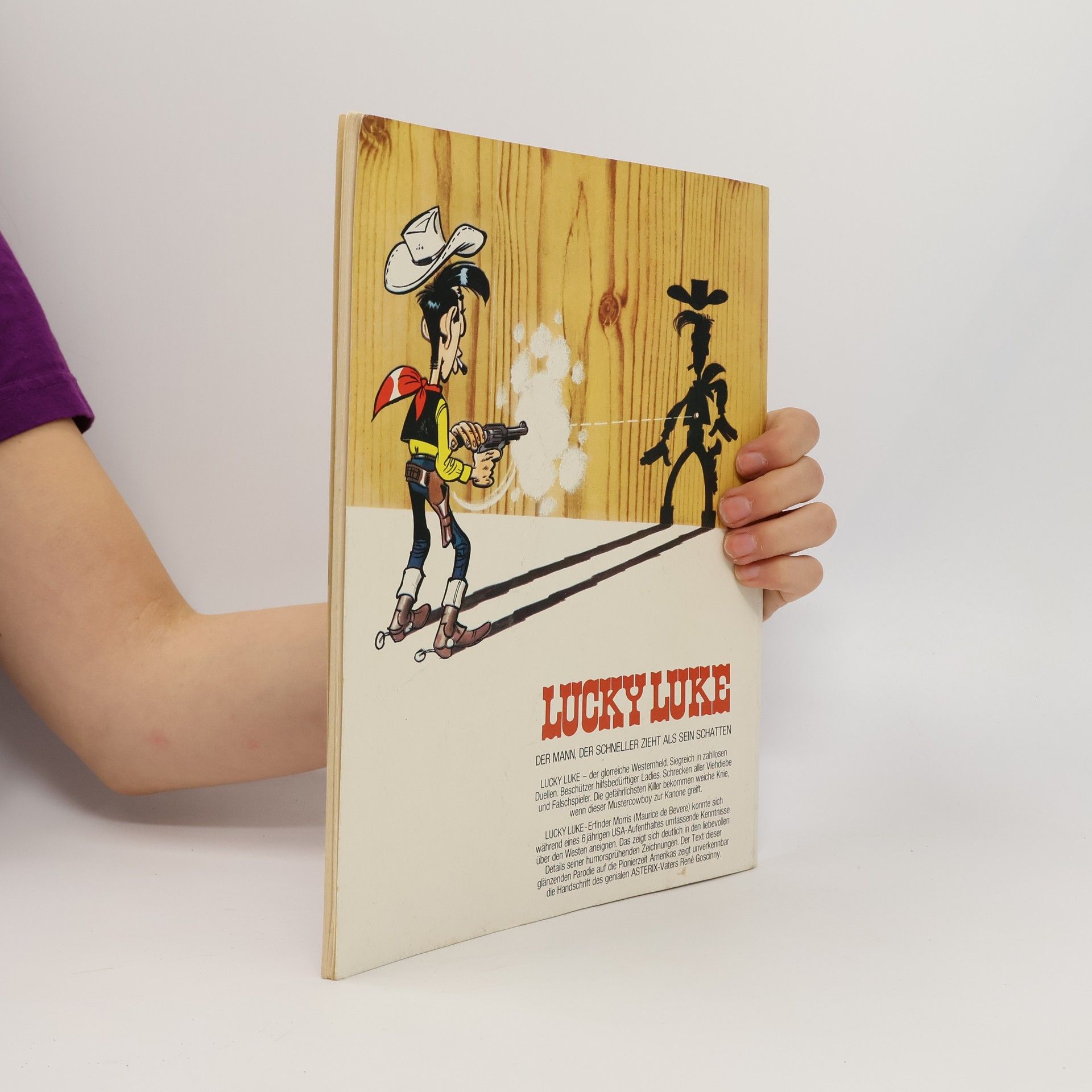 Autorenkollektiv Lucky Luke 27. Die Daltons auf Schatzsuche