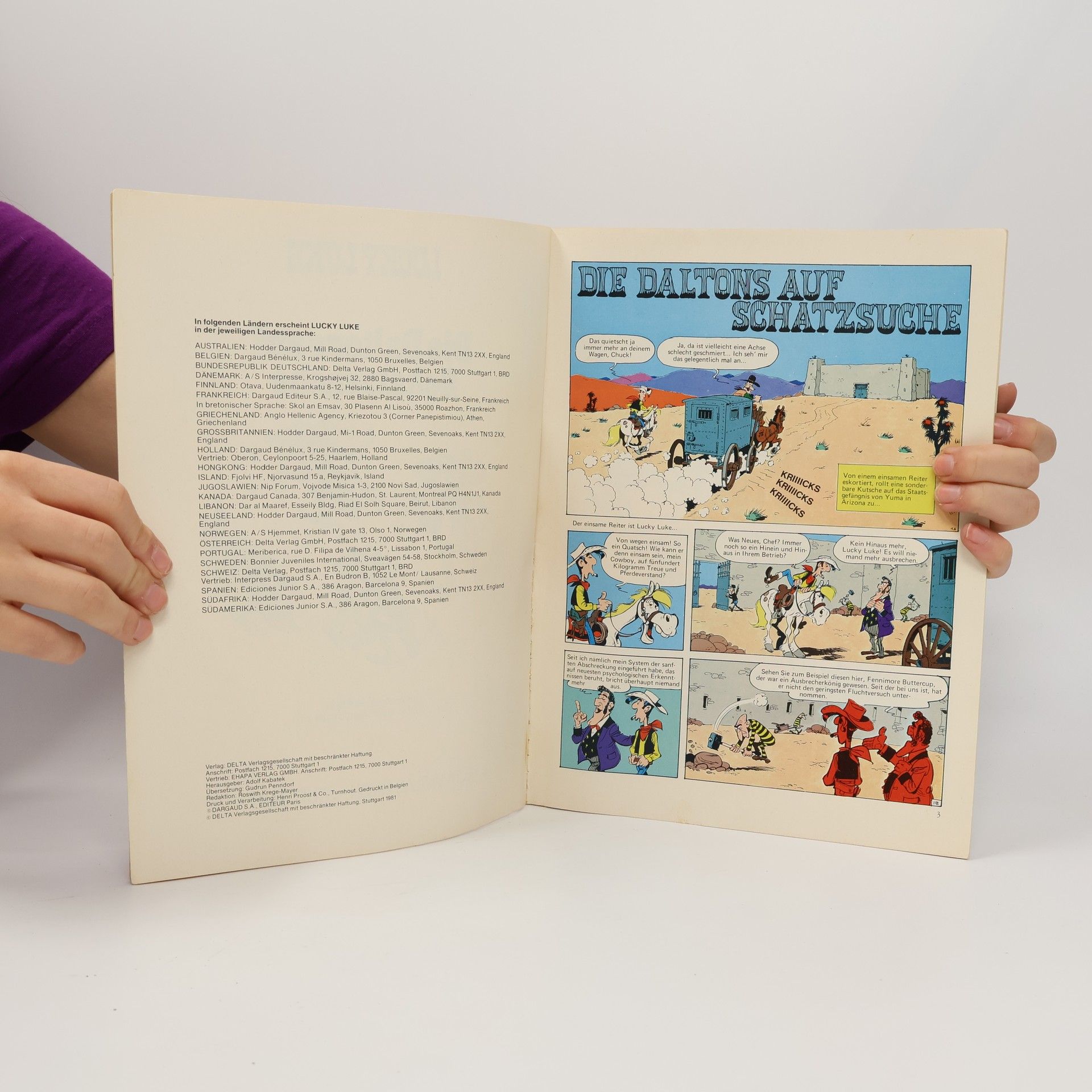 Autorenkollektiv Lucky Luke 27. Die Daltons auf Schatzsuche