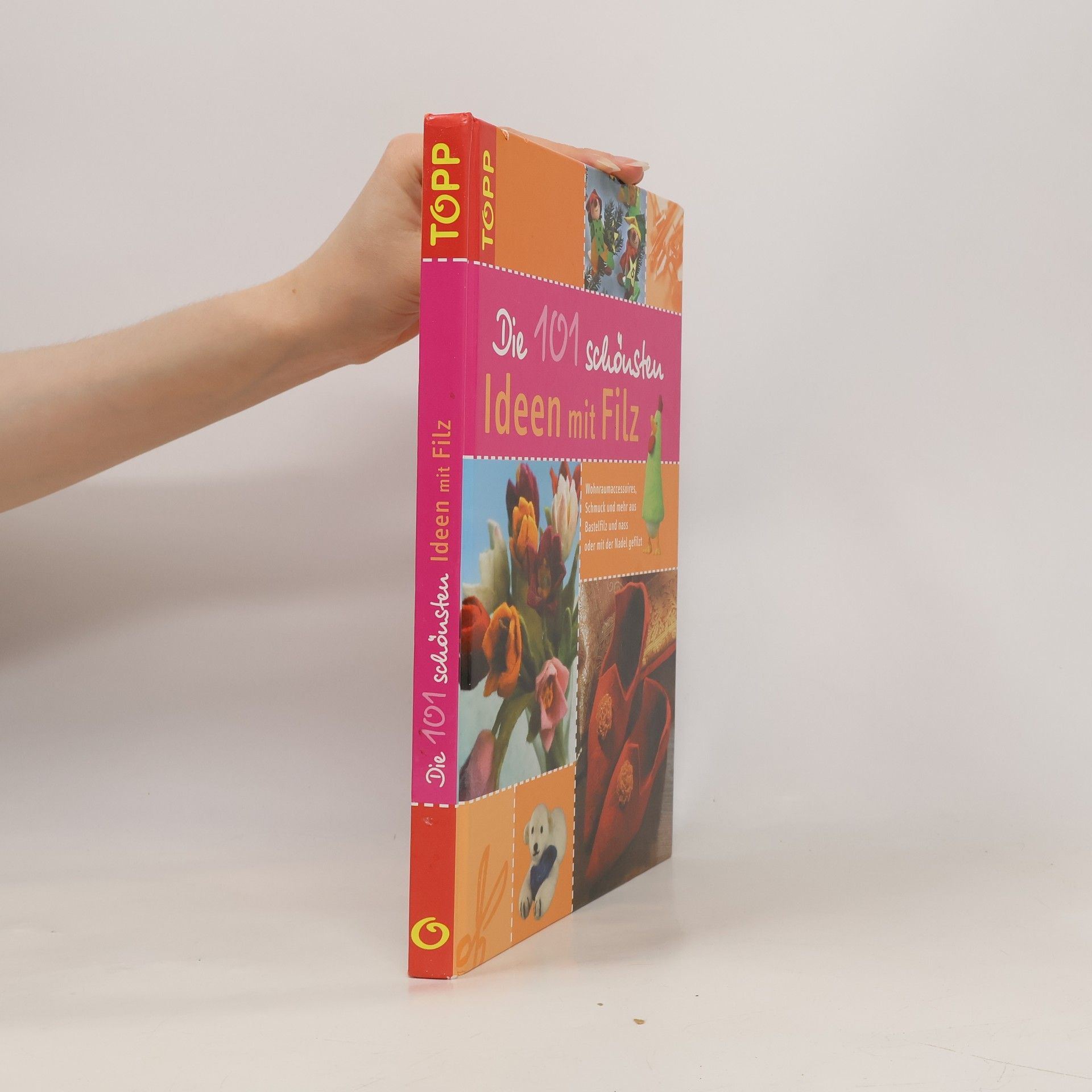 Auteurscollectief Die 101 schönsten Ideen mit Filz