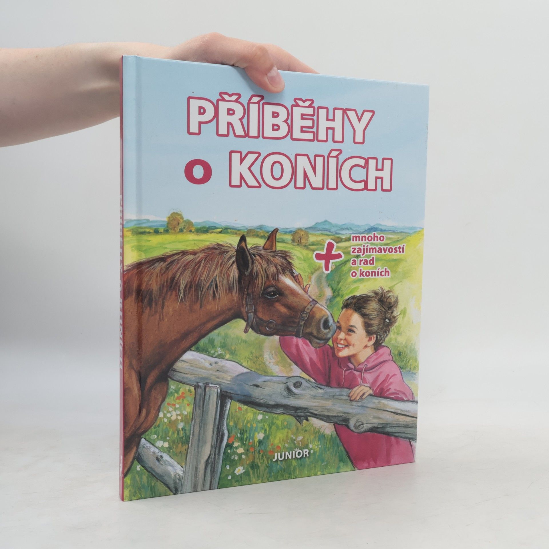 Kolektív autorov Příběhy o koních