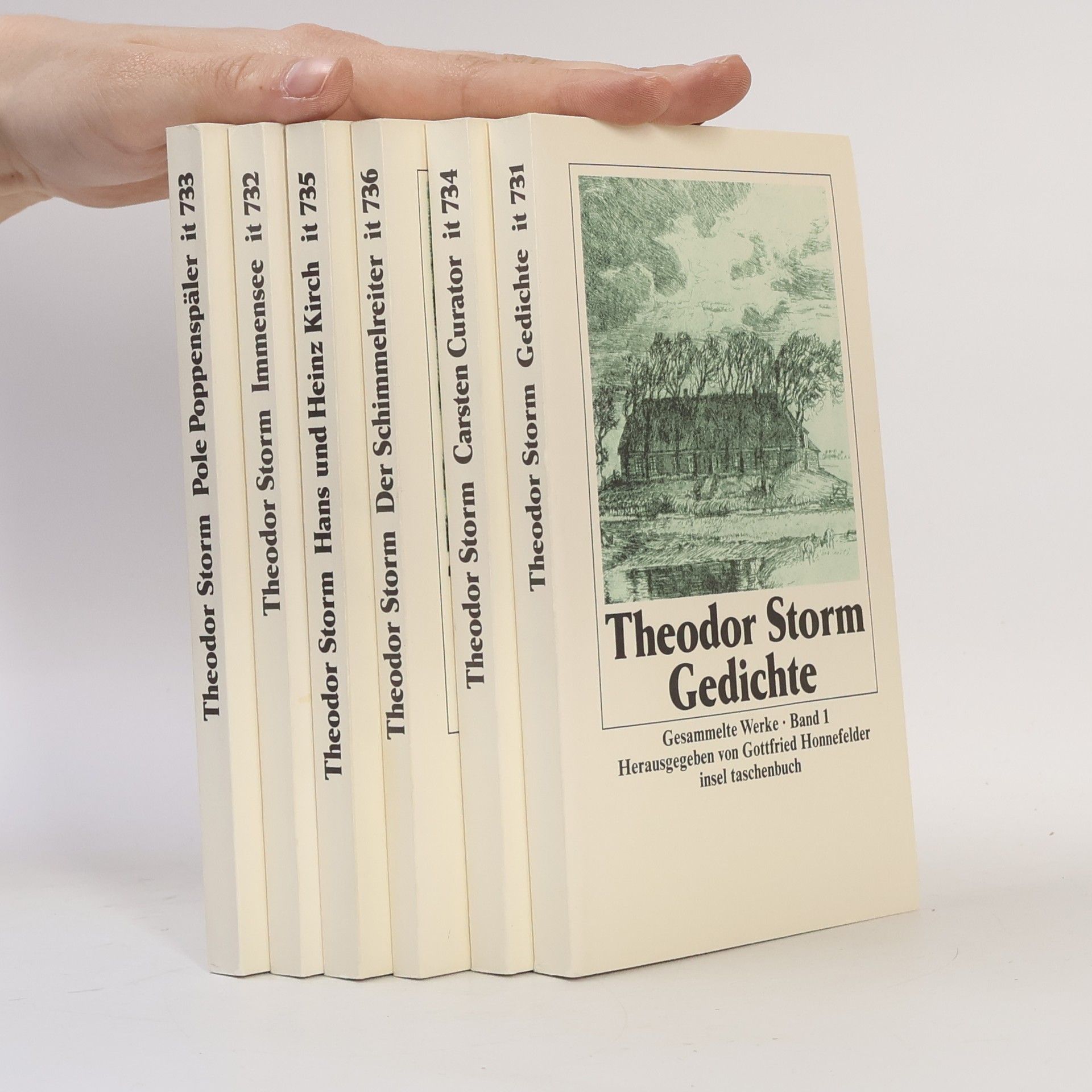 Theodor Storm Gesammelte Werke 6 Bande