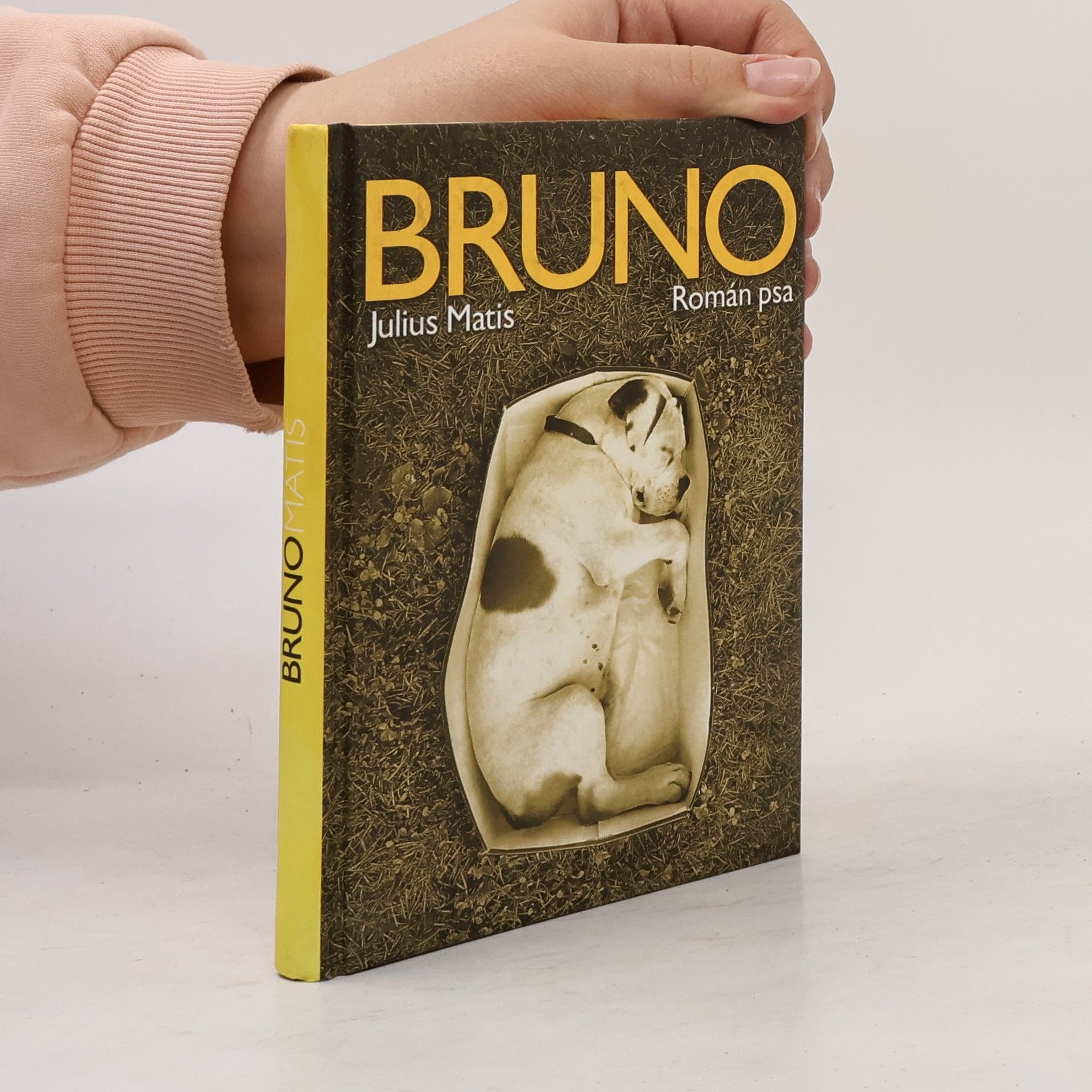 Julius Matis Bruno