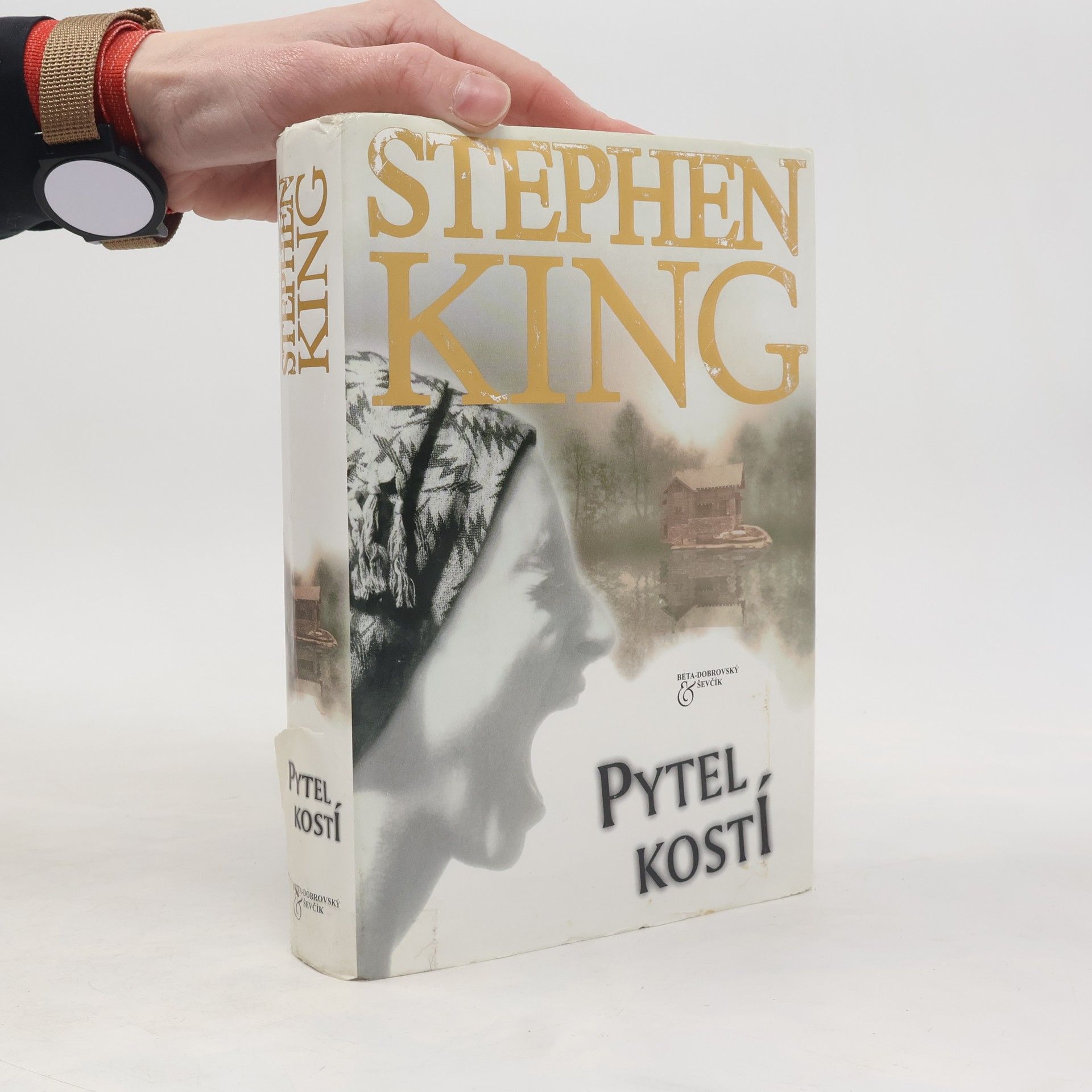 Stephen King Pytel kostí