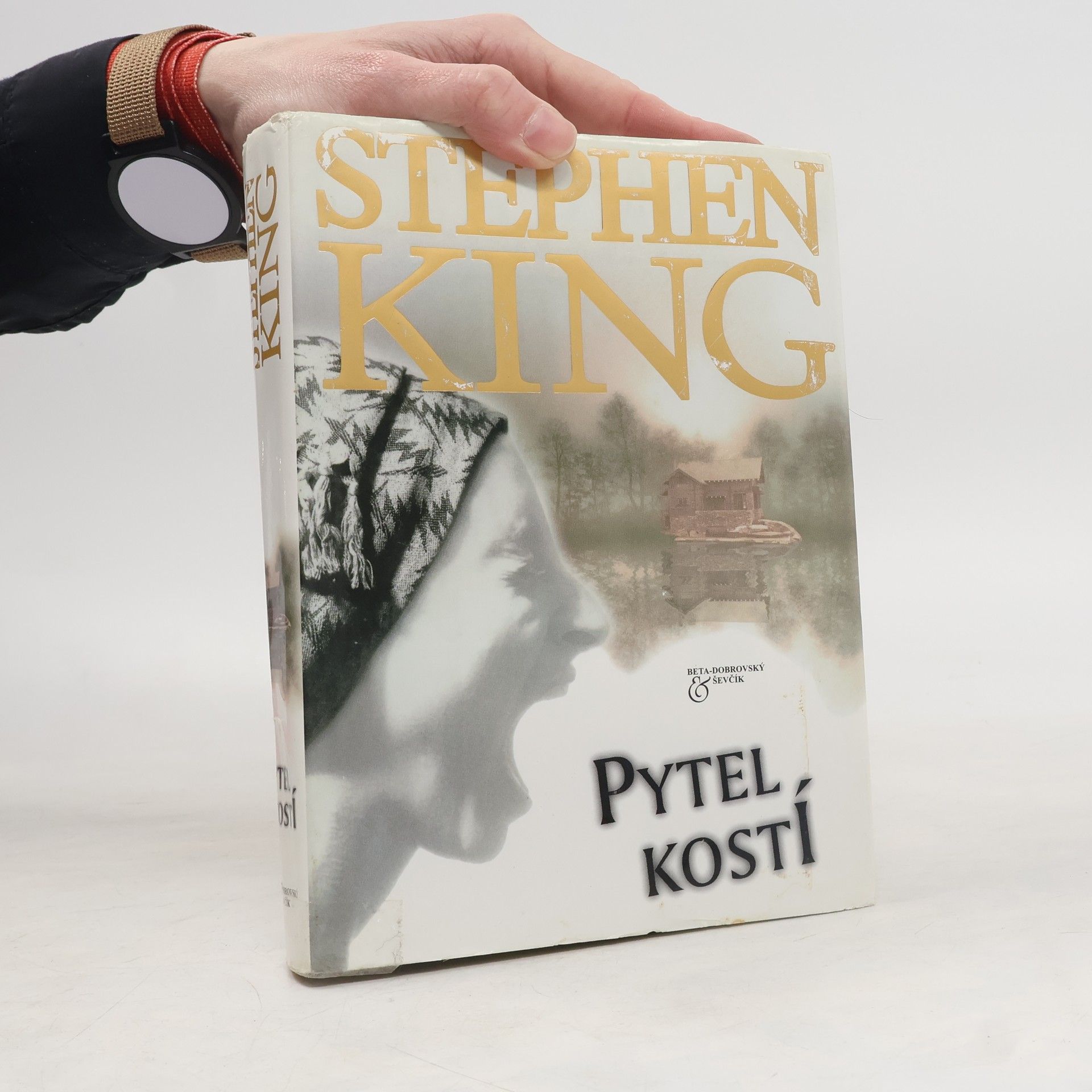 Stephen King Pytel kostí