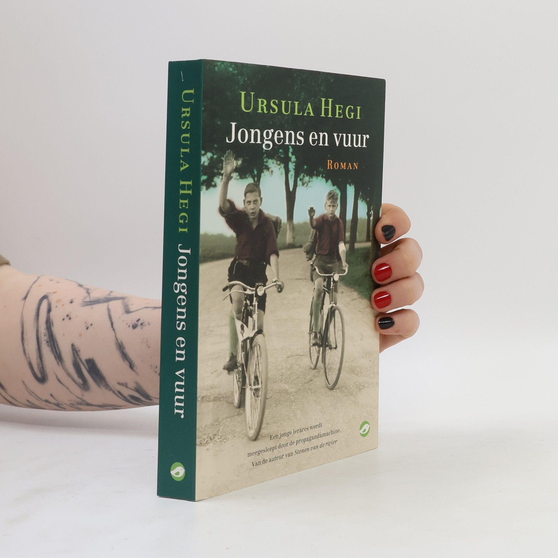 Ursula Hegi Jongens en vuur