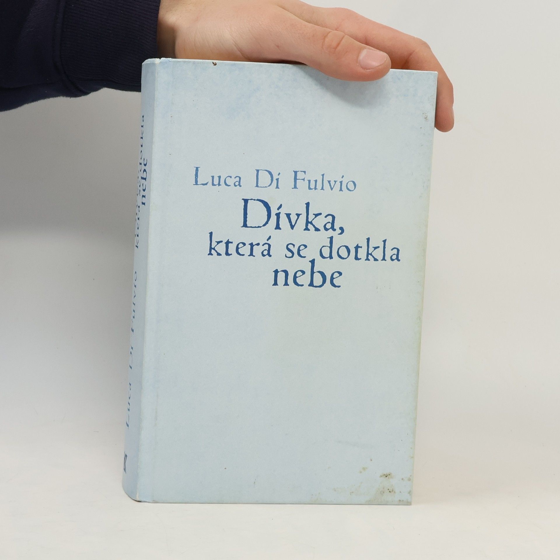 Luca Di Fulvio Dívka, která se dotkla nebe