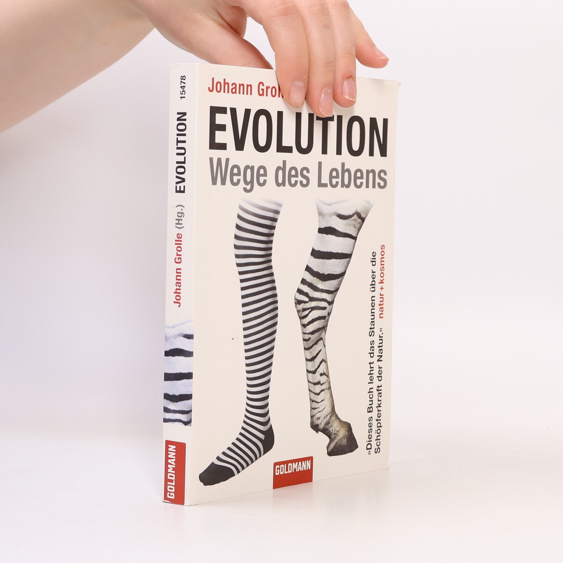 Johann Grolle Evolution