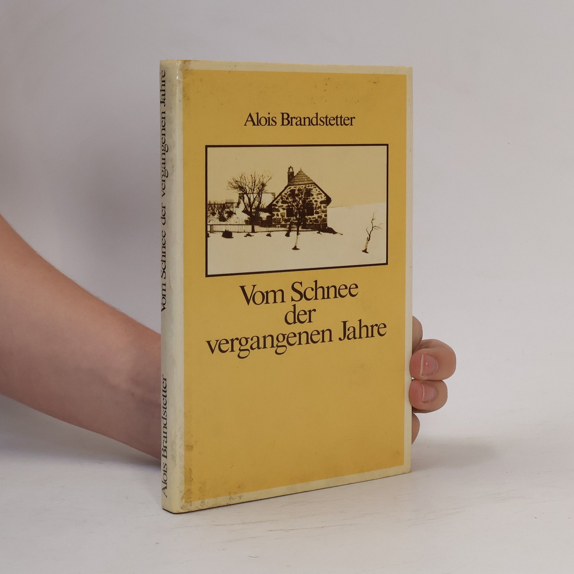 Alois Brandstetter Vom Schnee der vergangenen Jahre