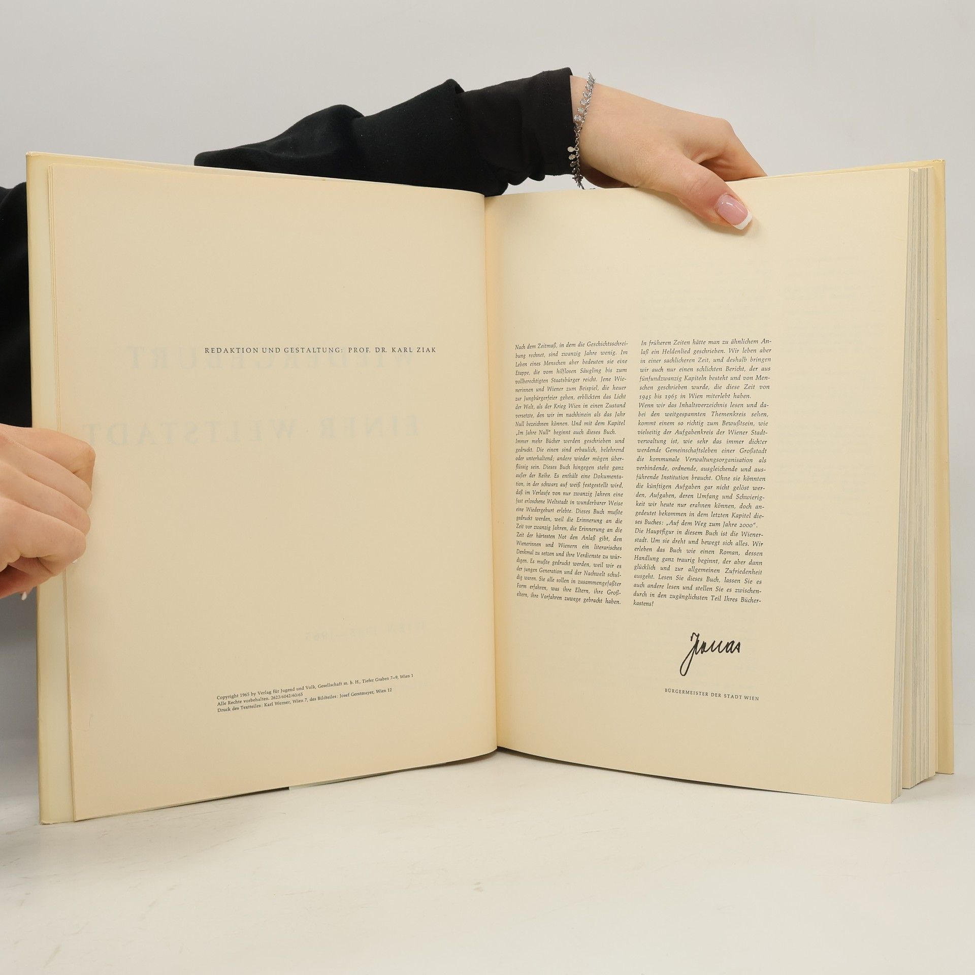 Karl Ziak Wiedergeburt einer Weltstadt. Wien 1945-1965
