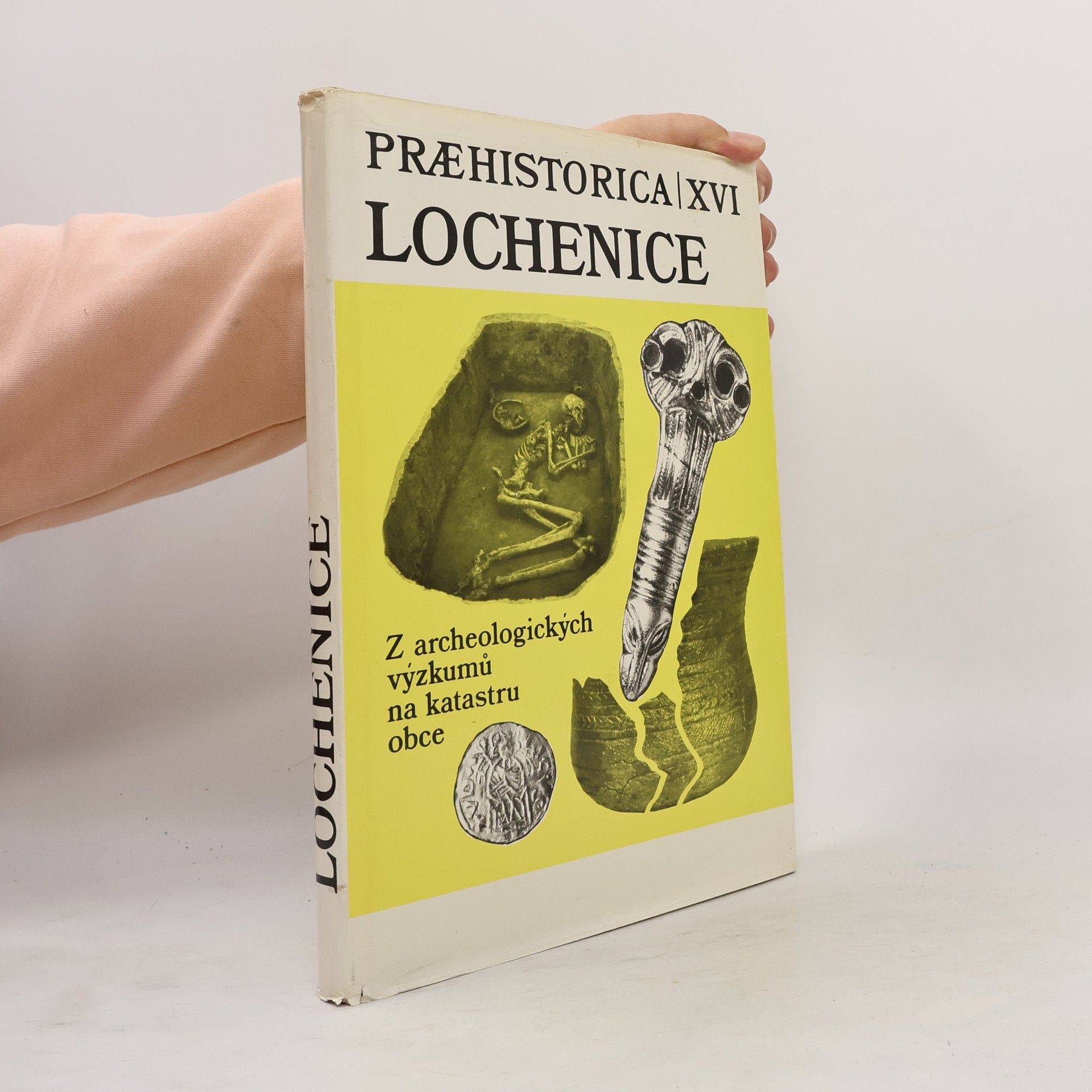 Kolektív autorov Lochenice. Z archeologických výzkumů na katastru obce