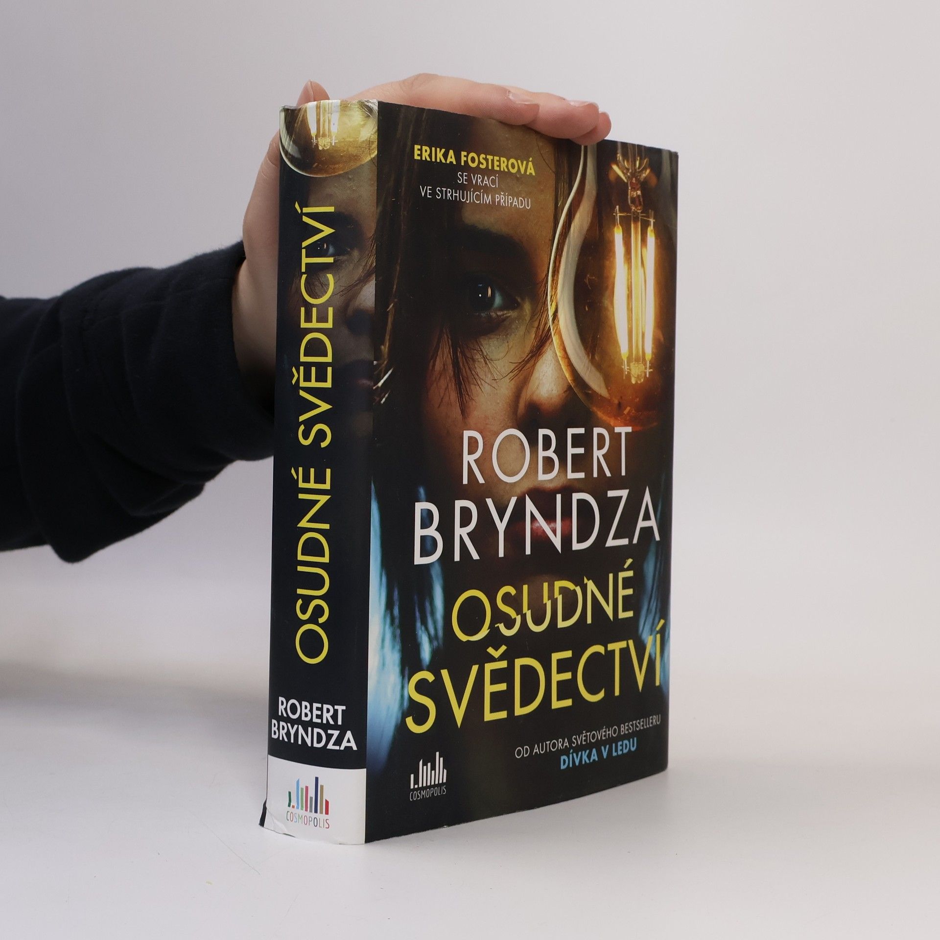 Robert Bryndza Osudné svědectví