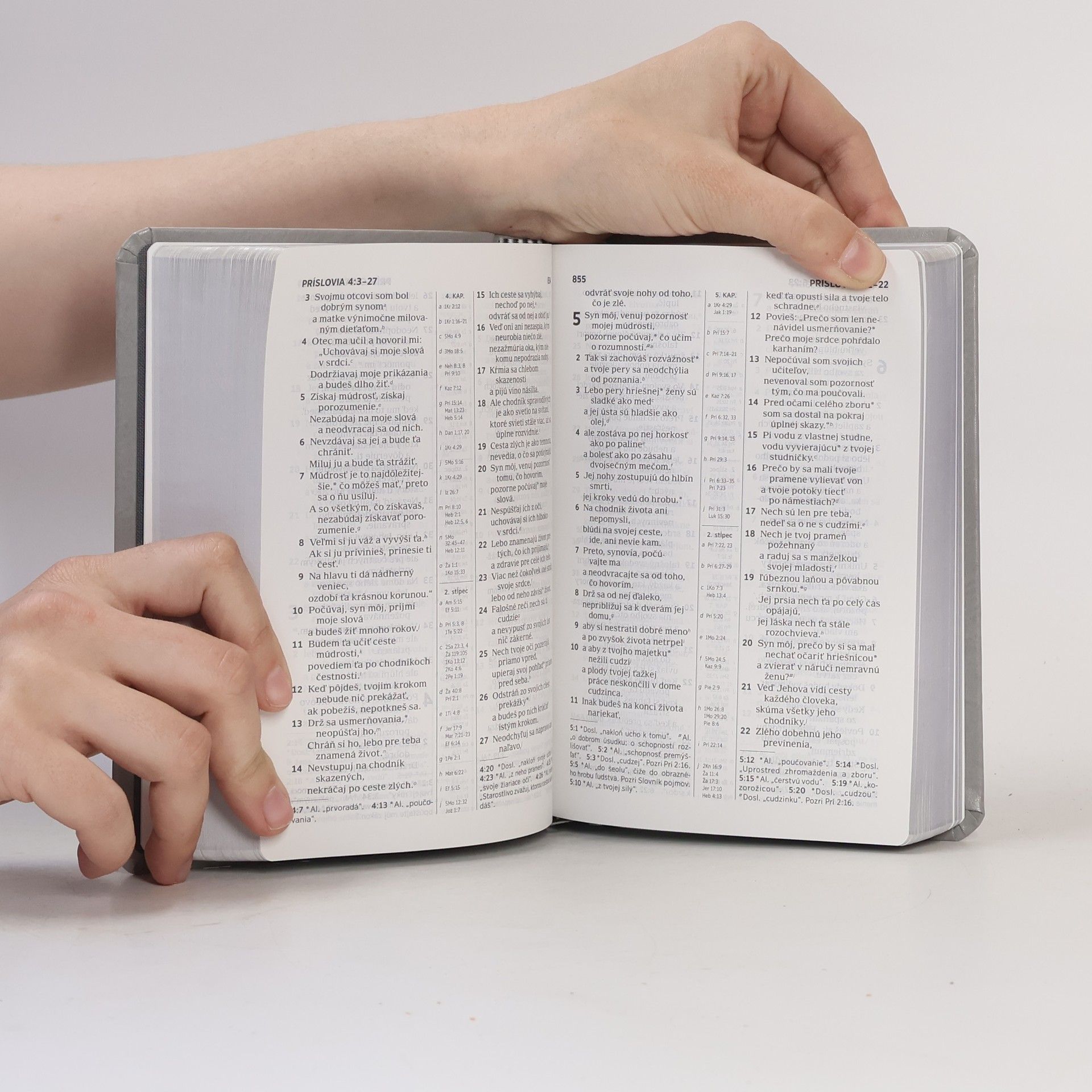 Autorenkollektiv Biblia. Preklad nového sveta