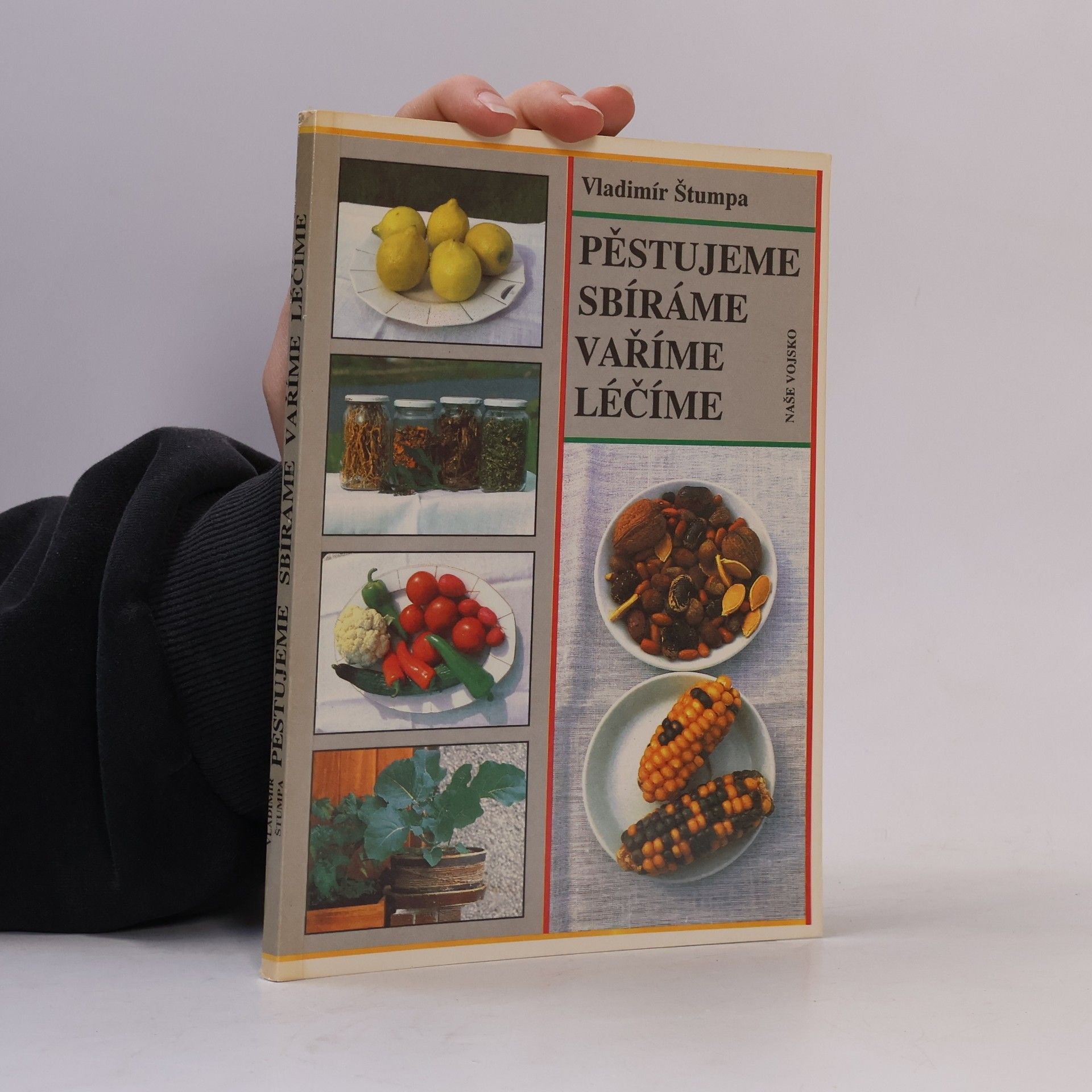 Milan Havlíček Pěstujeme, sbíráme, vaříme, léčíme