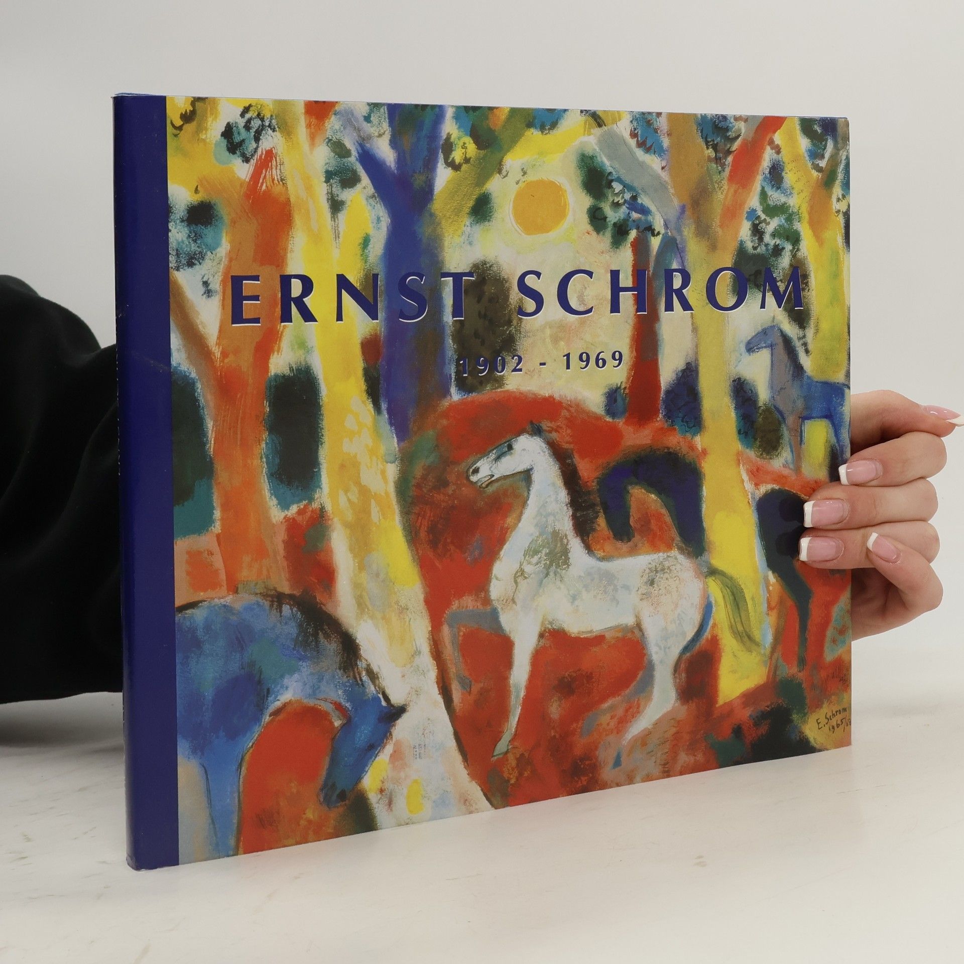 Autores varios Ernst Schrom 1902-1969