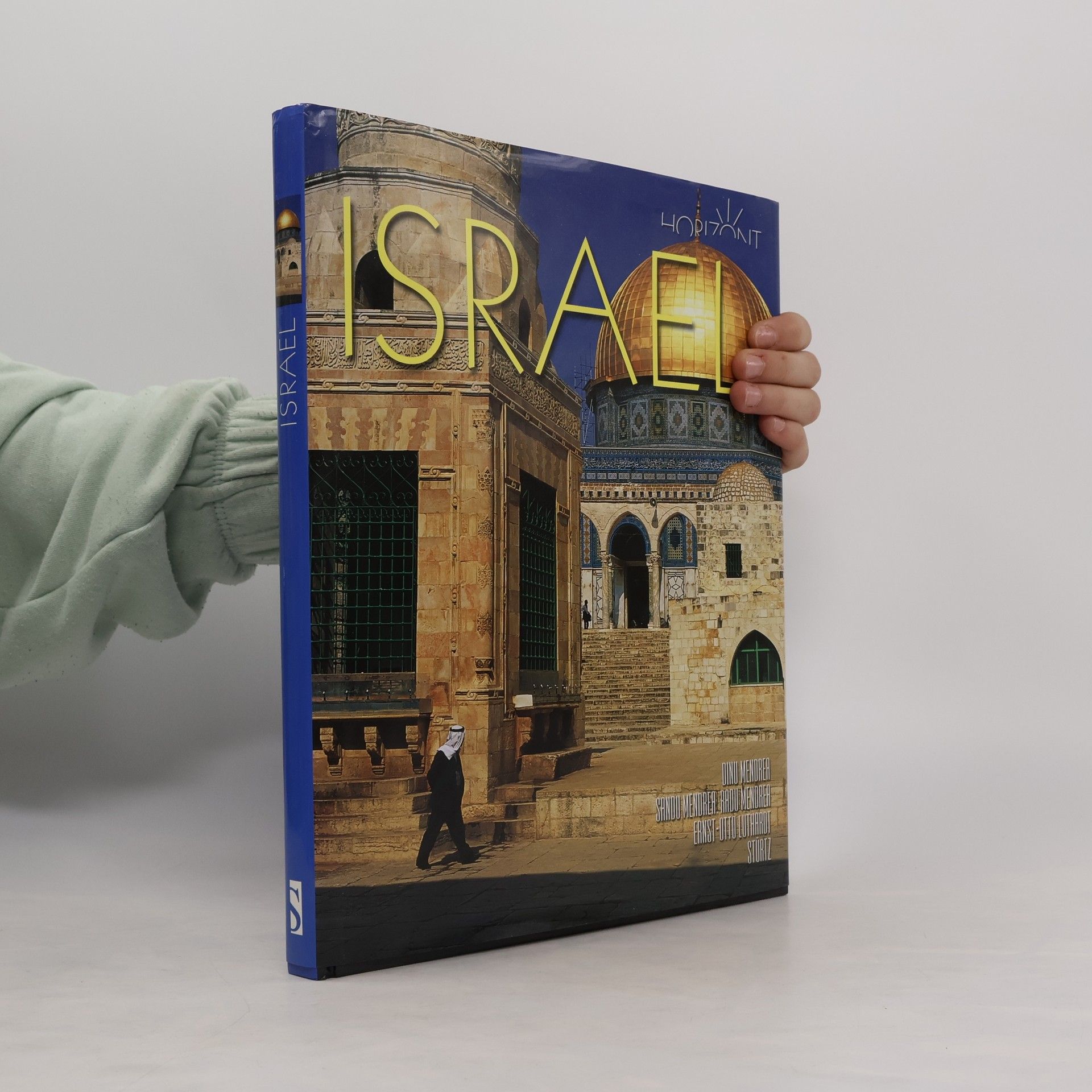 Dinu Mendrea Israel