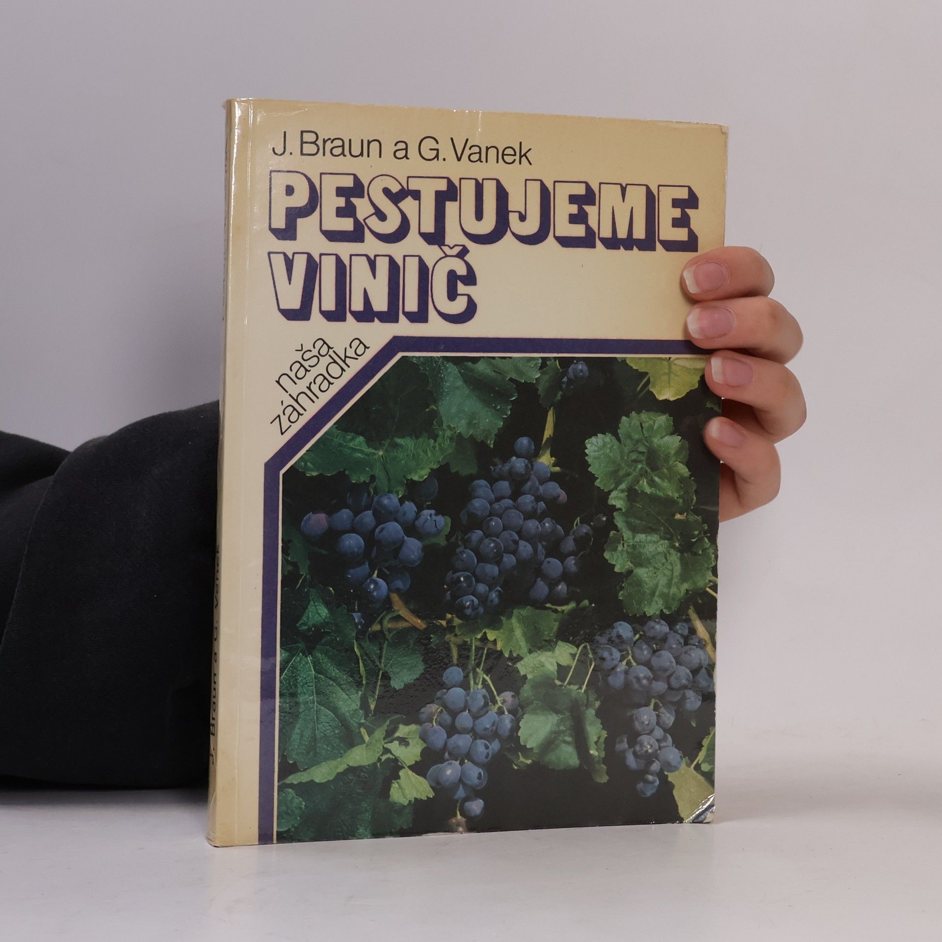 Ján Braun Pestujeme vinič