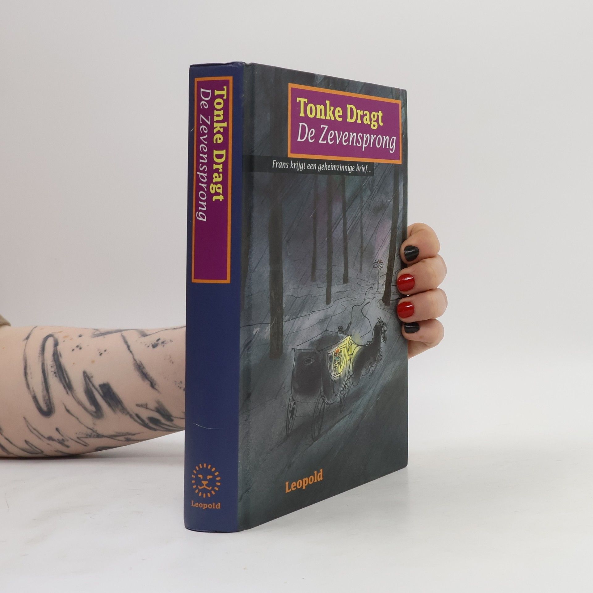 Tonke Dragt De Zevensprong