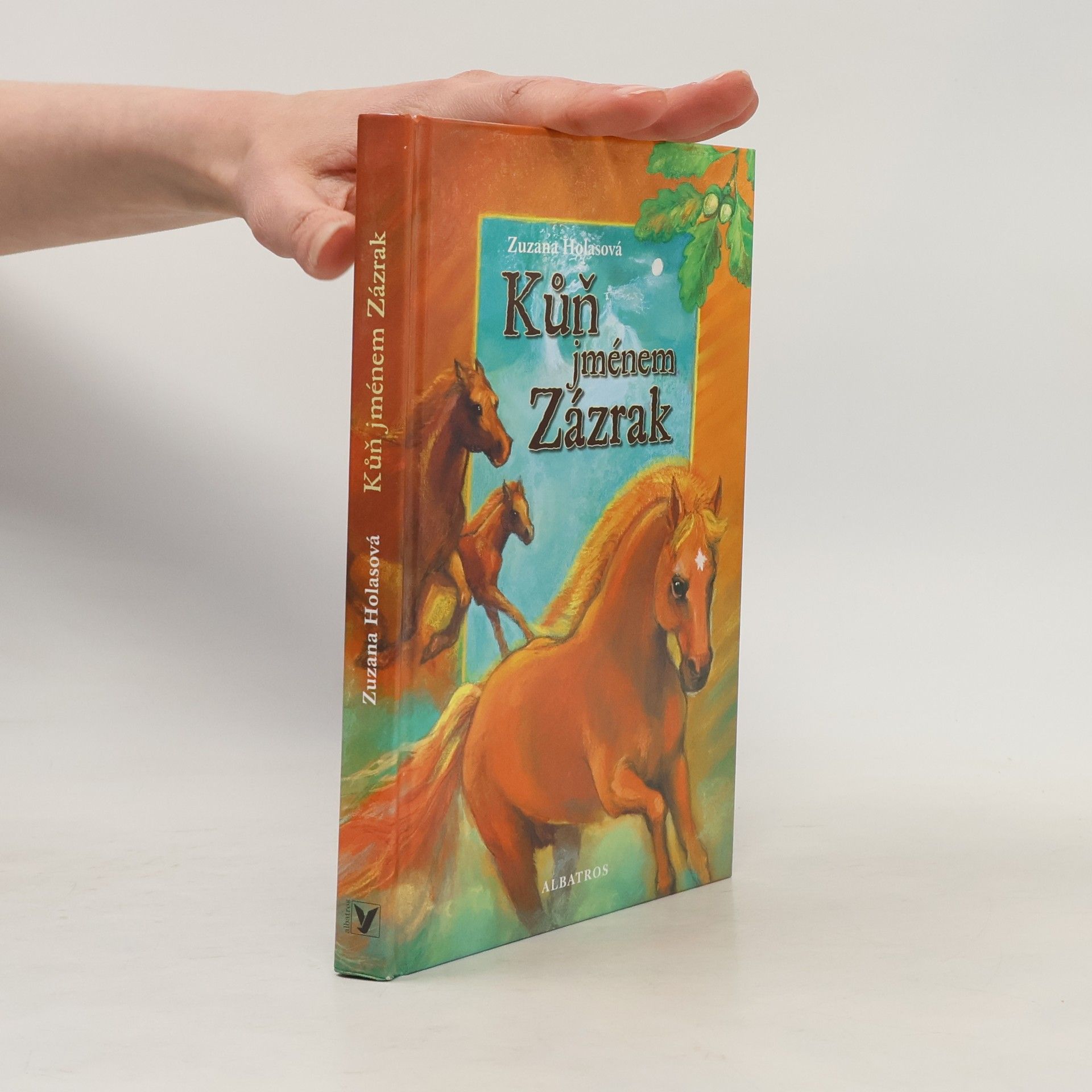 Zuzana Holasová Kůň jménem Zázrak