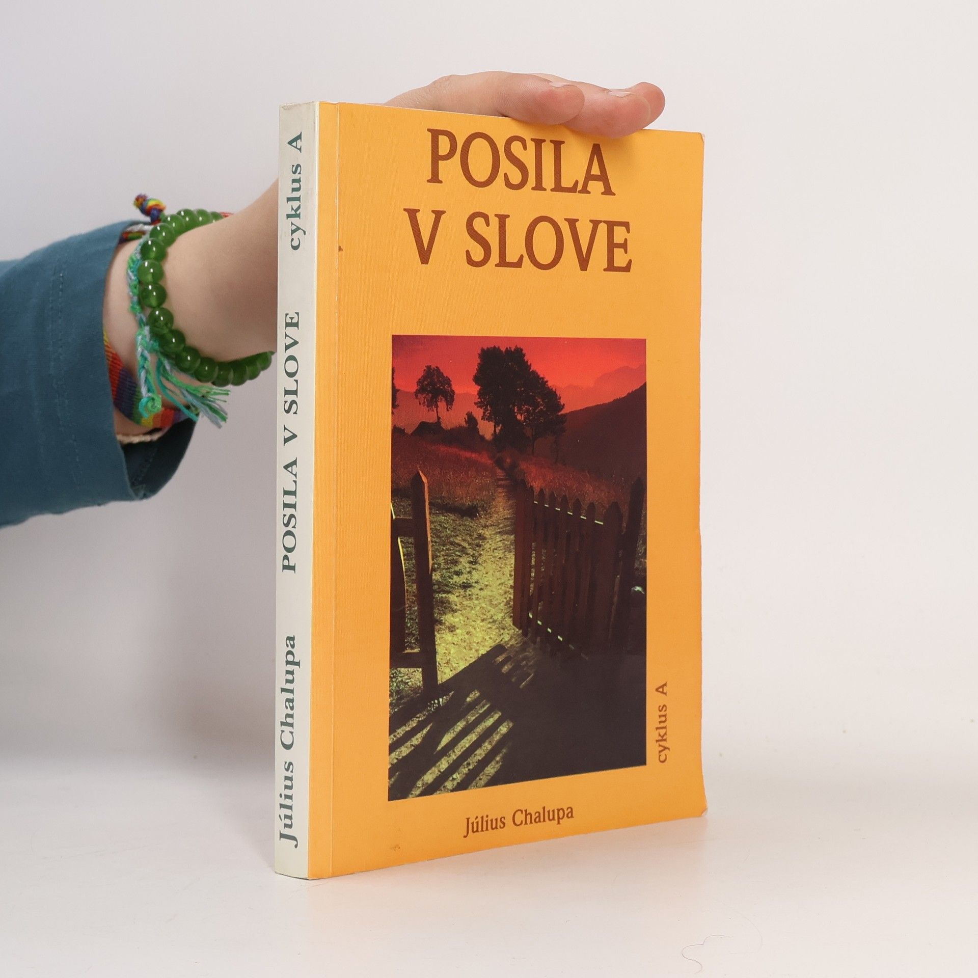Posila v slove