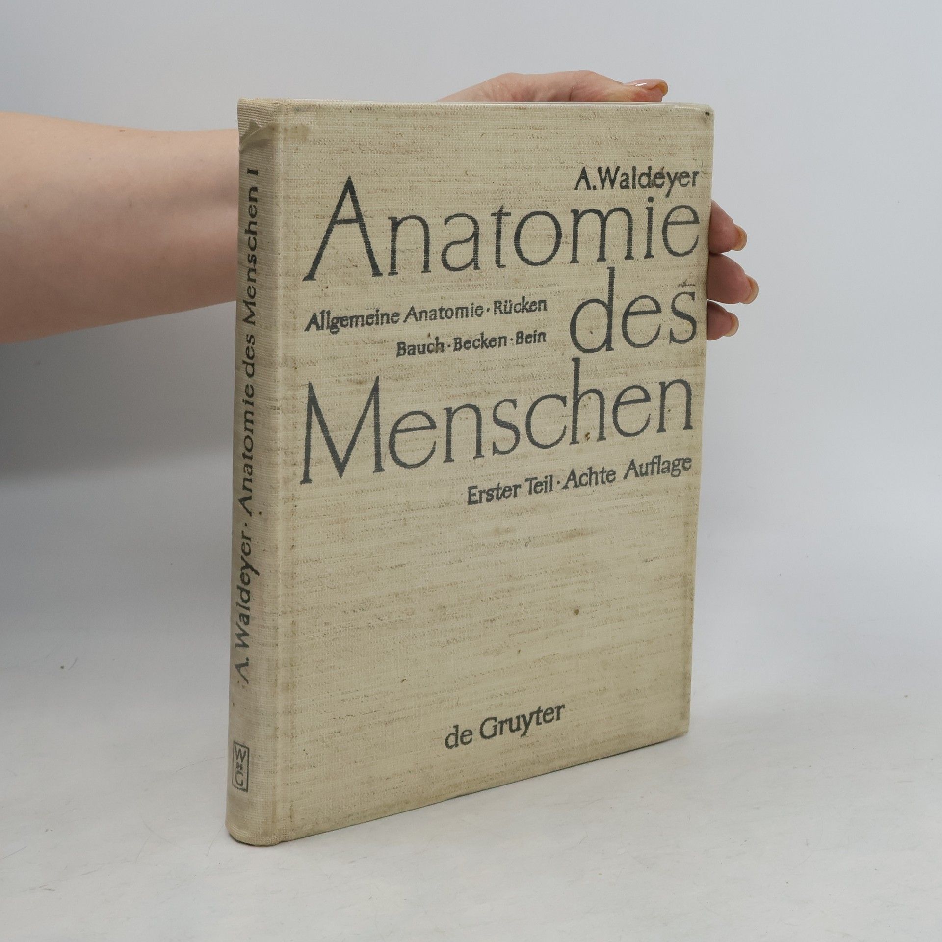 Anton Johannes Waldeyer Allgemeine Anatomie, Rücken, Bauch, Becken, Bein