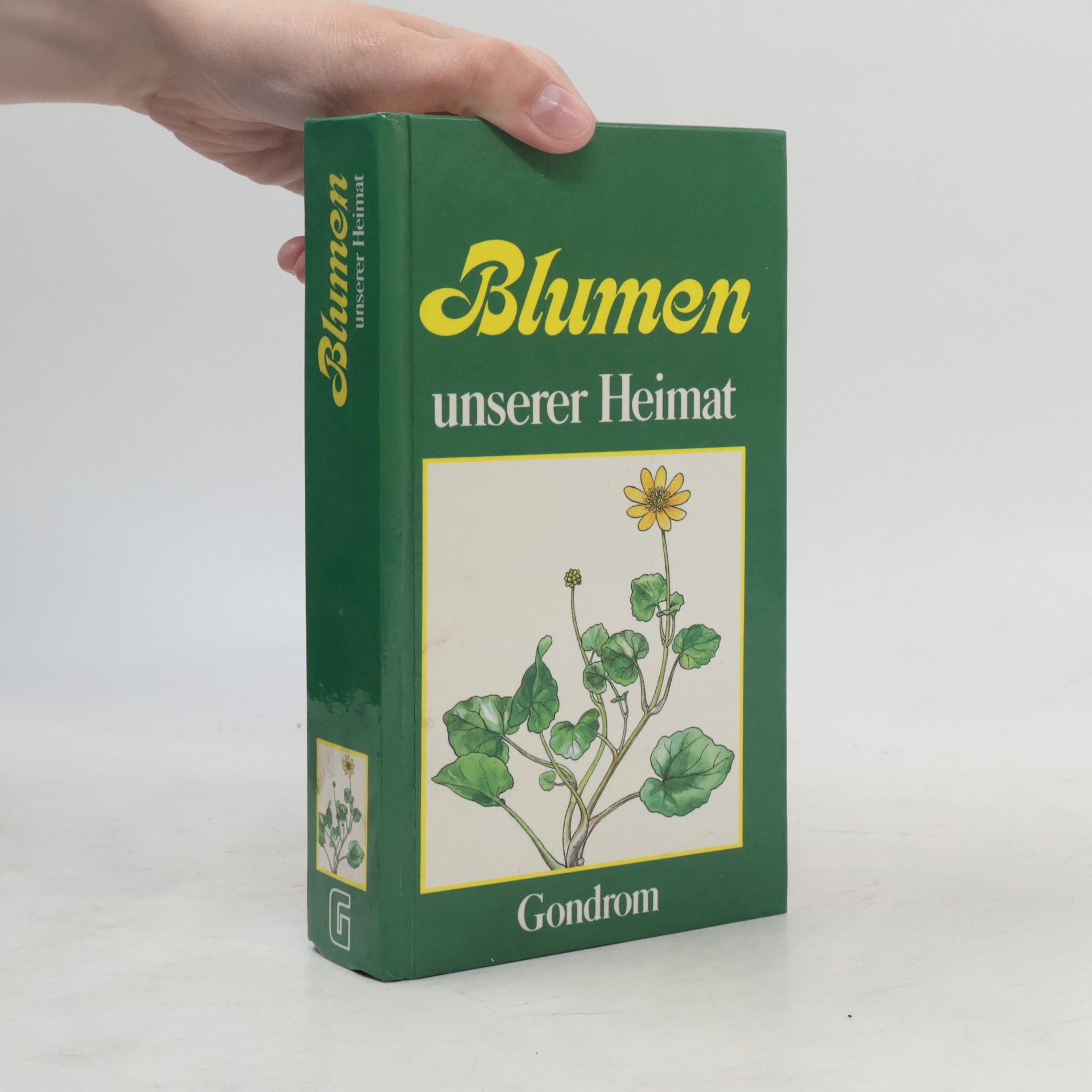 Elisabeth Möltgen Blumen unserer Heimat