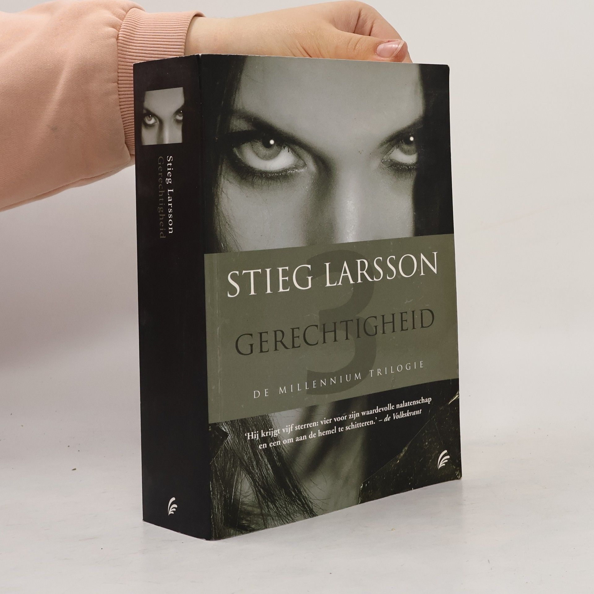Stieg Larsson Gerechtigheid
