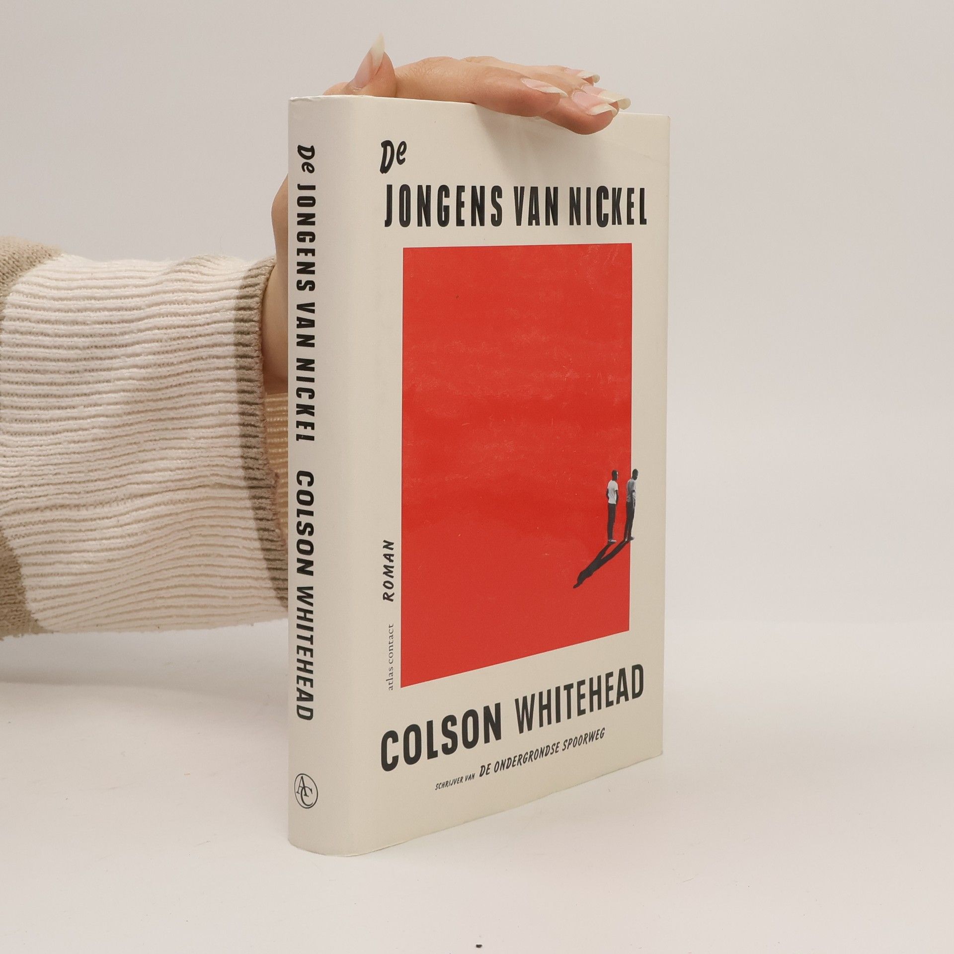 Harm Darmsma De jongens van Nickel (Dutch Edition)