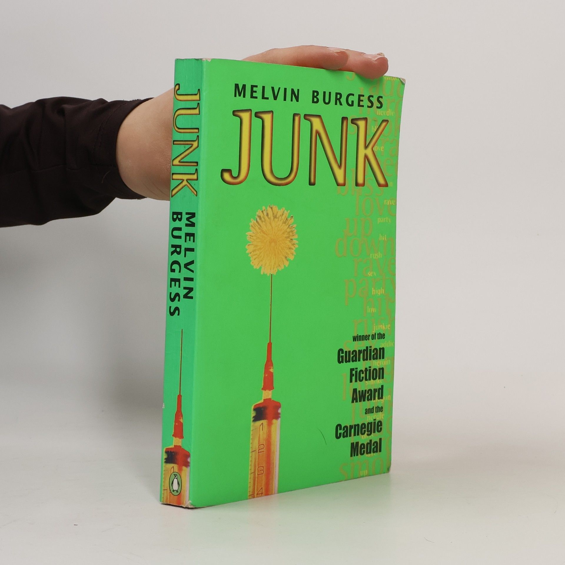 Melvin Burgess Junk
