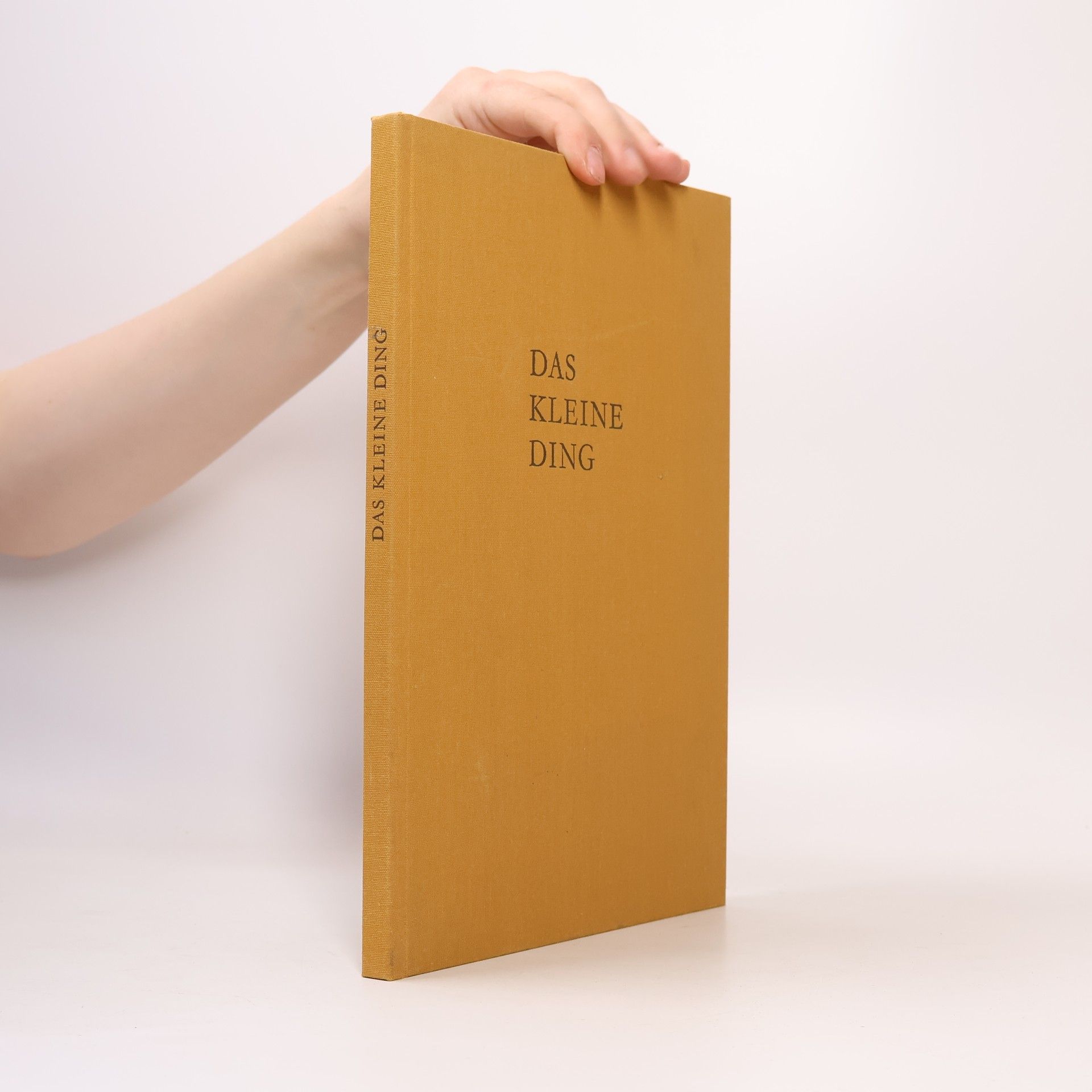 Autorenkollektiv Das kleine Ding