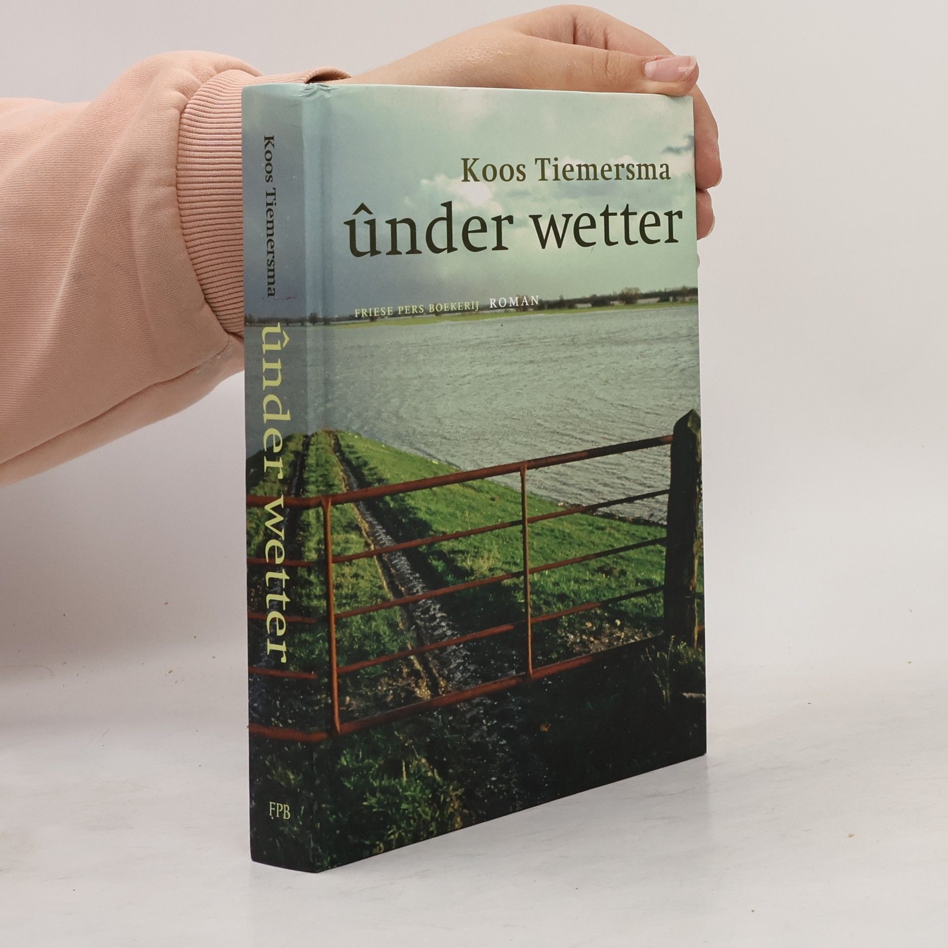 Koos Tiemersma Under wetter