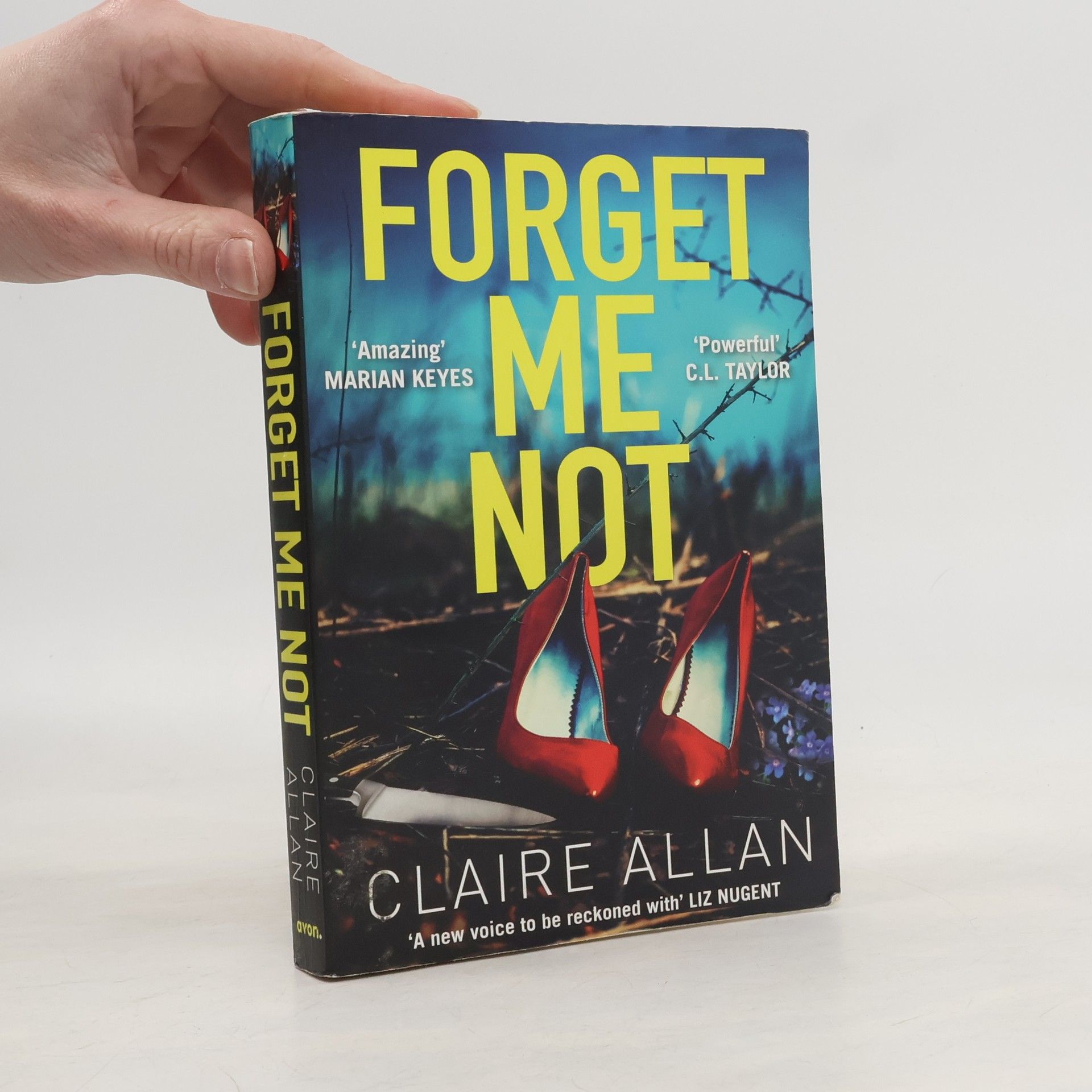 Claire Allan Forget Me Not