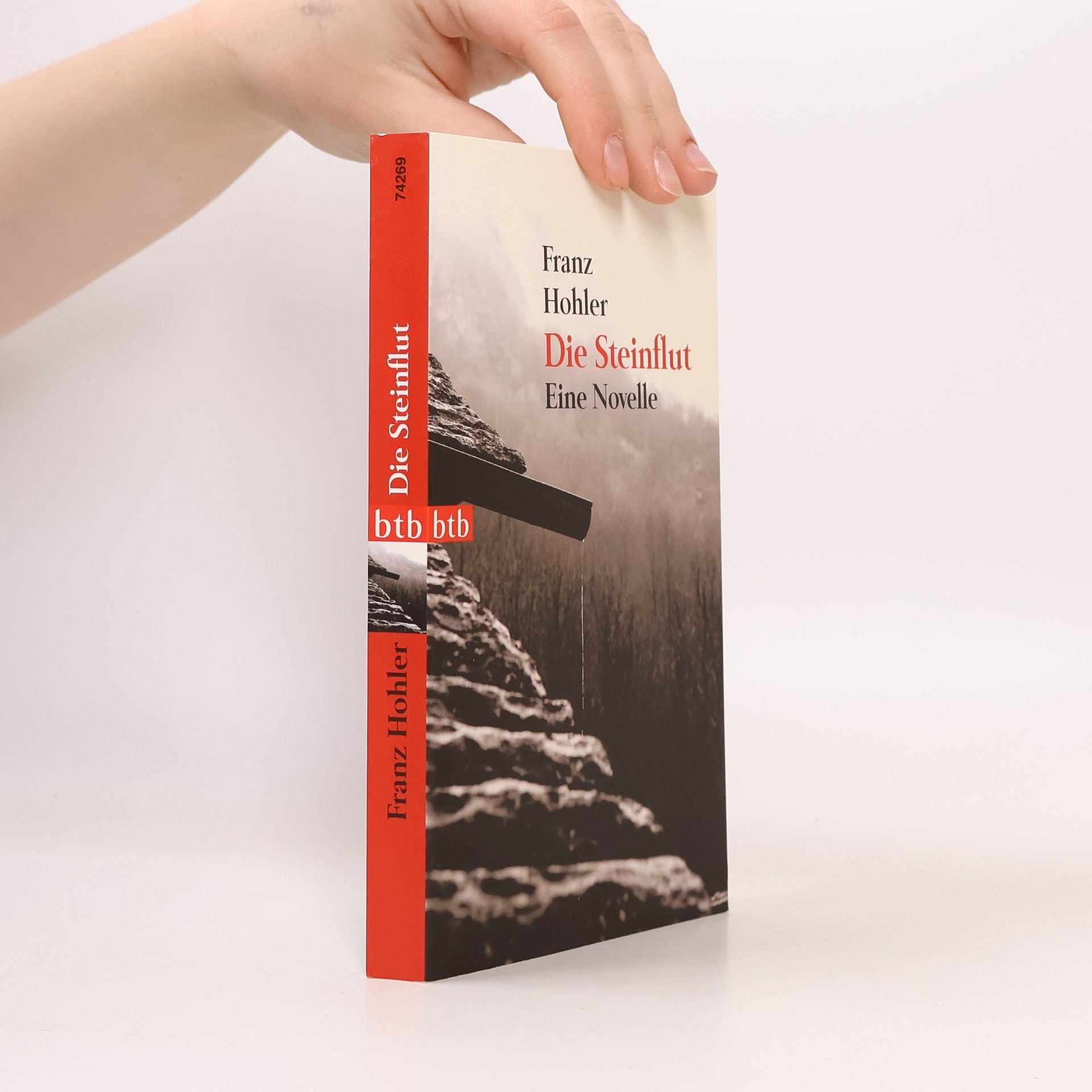 Franz Hohler Die Steinflut