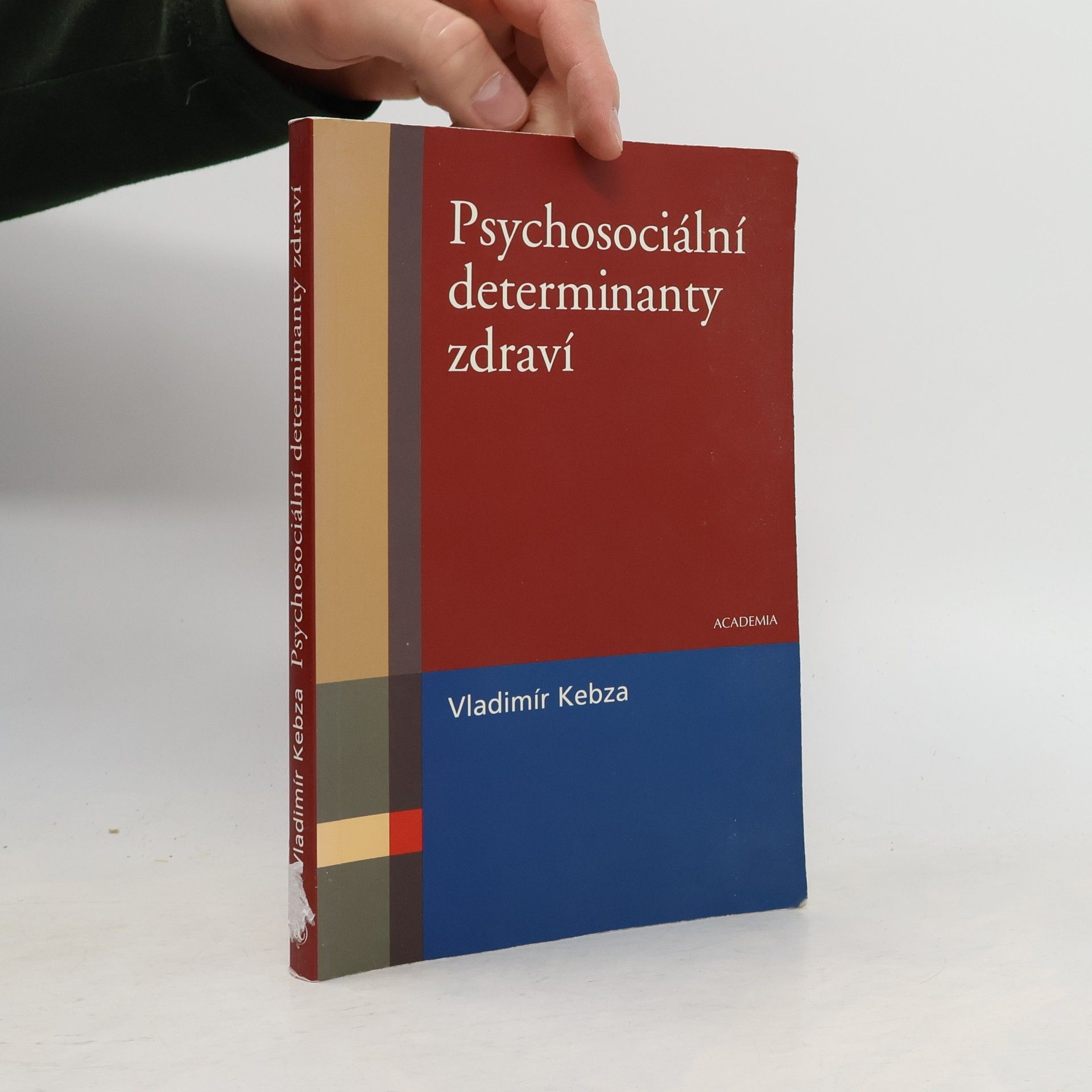 Vladimír Kebza Psychosociální determinanty zdraví