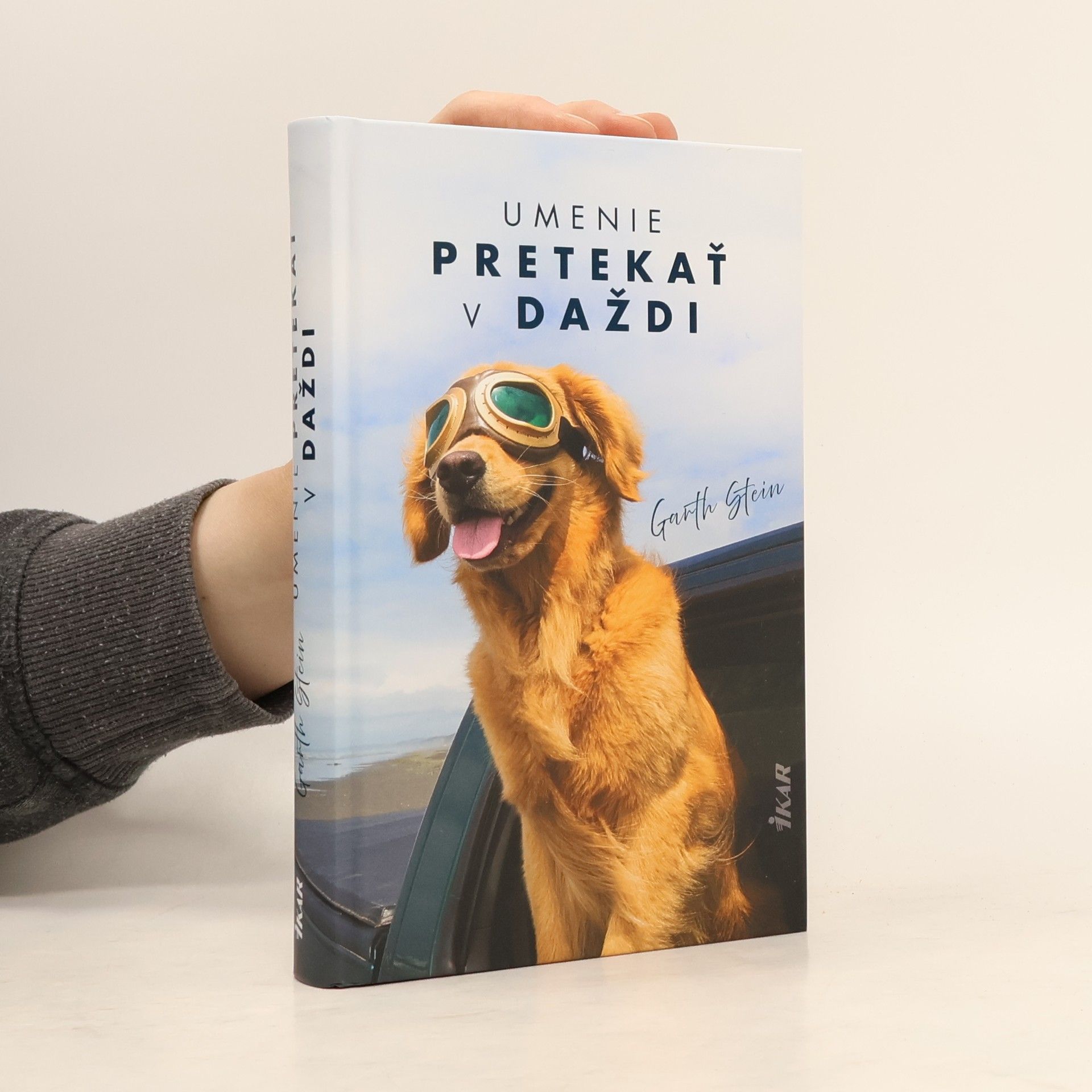 Garth Stein Umenie pretekať v daždi