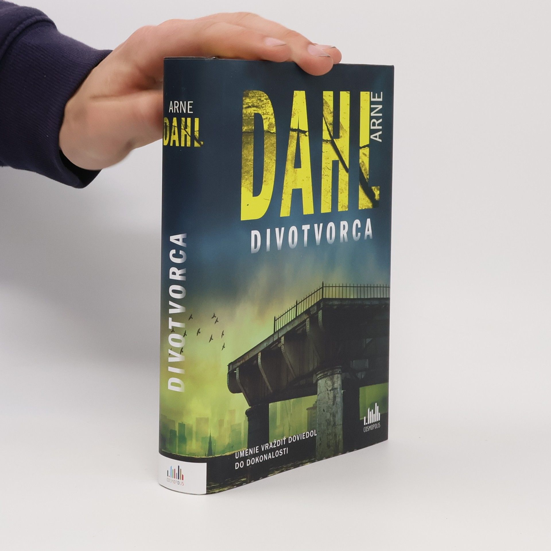 Arne Dahl Divotvorca