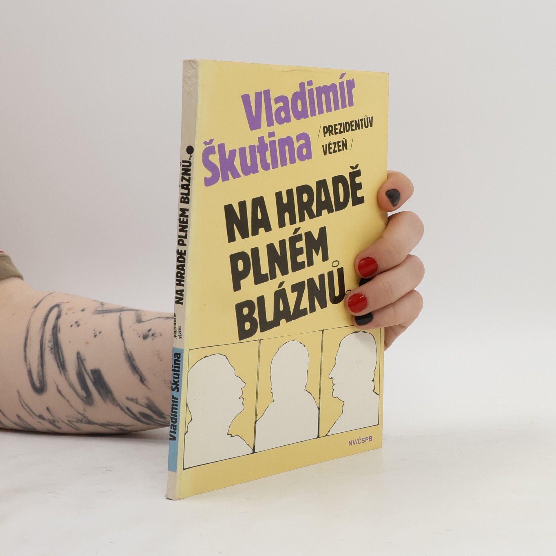 Vladimír Škutina Na hradě plném bláznů