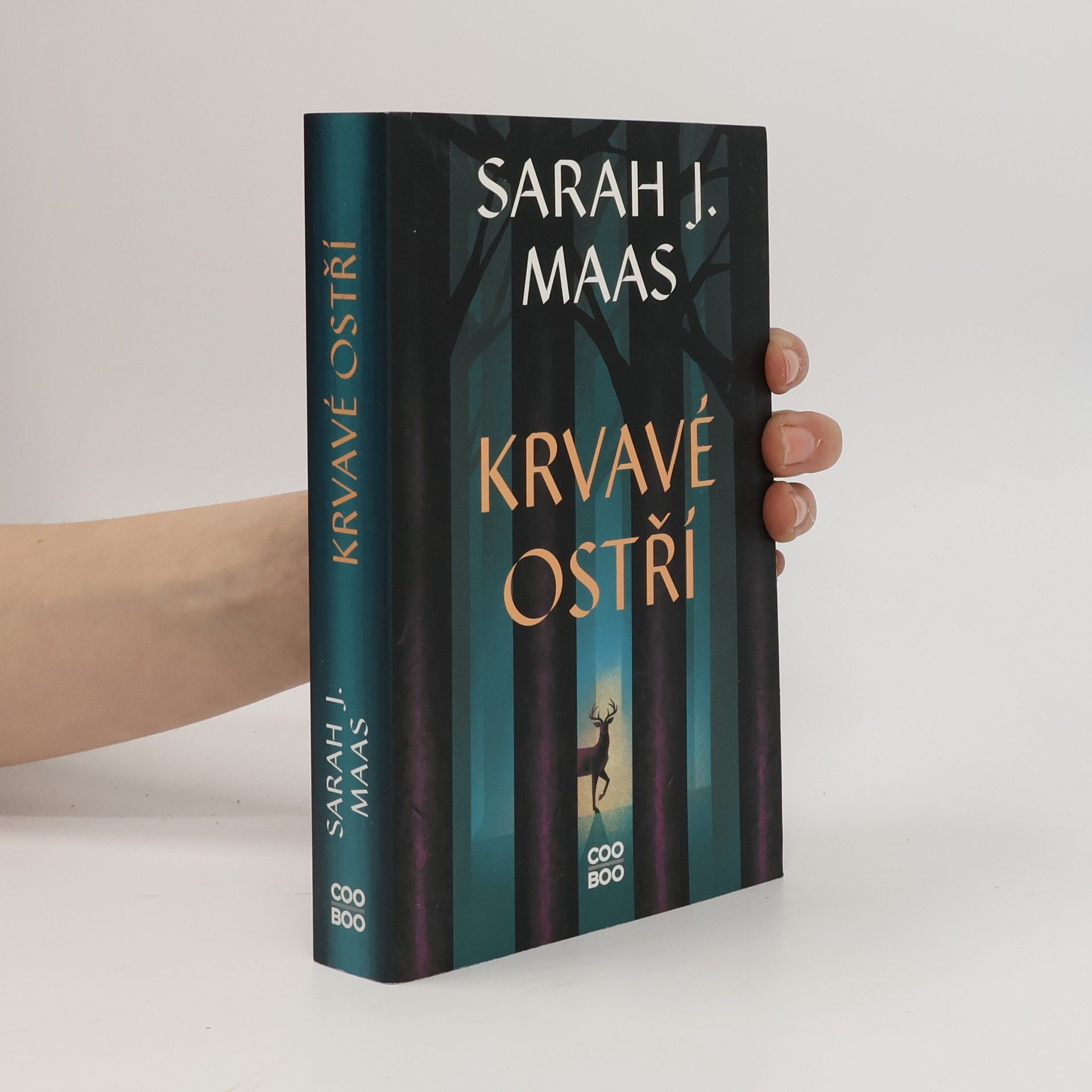Sarah J. Maas Krvavé ostří