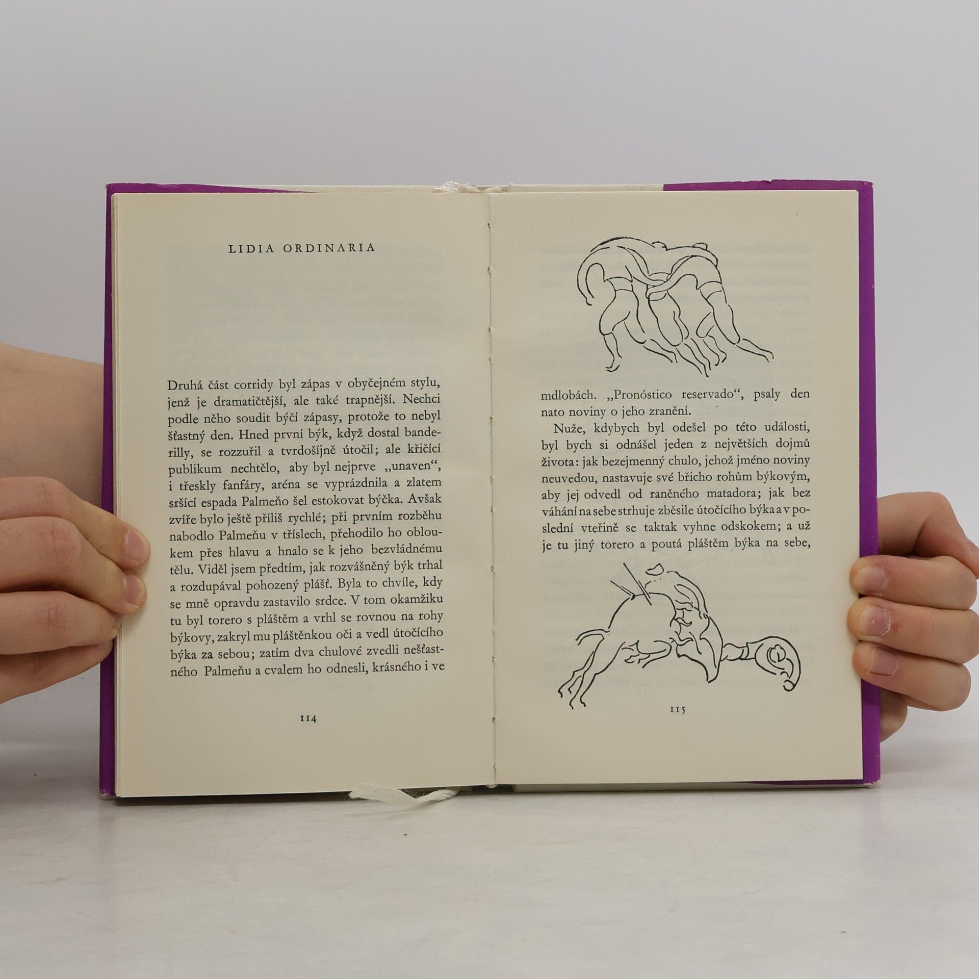 Karel Čapek Výlet do Španěl
