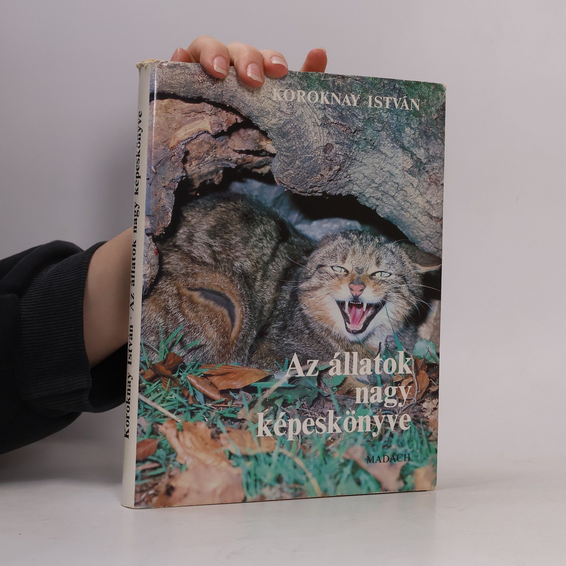 Koroknay István Az állatok nagy képeskönyve