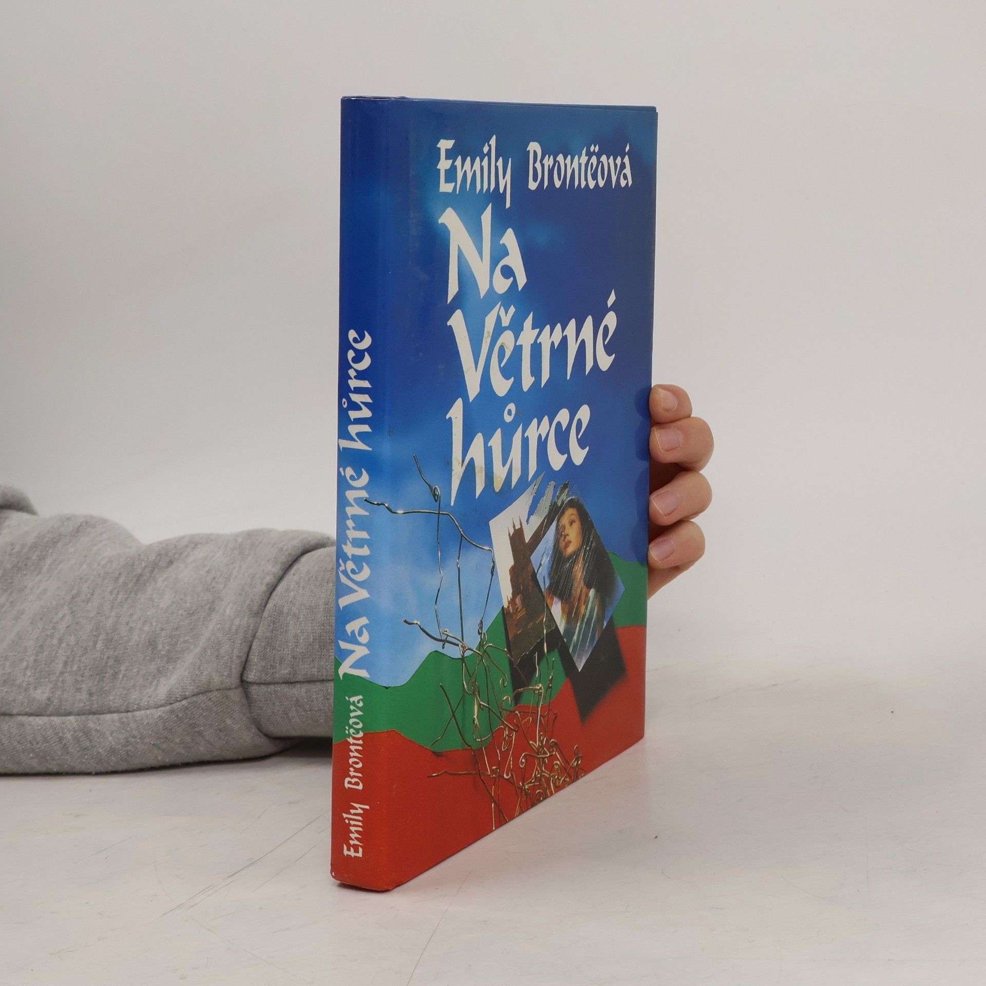 Emily Brontë Na Větrné hůrce