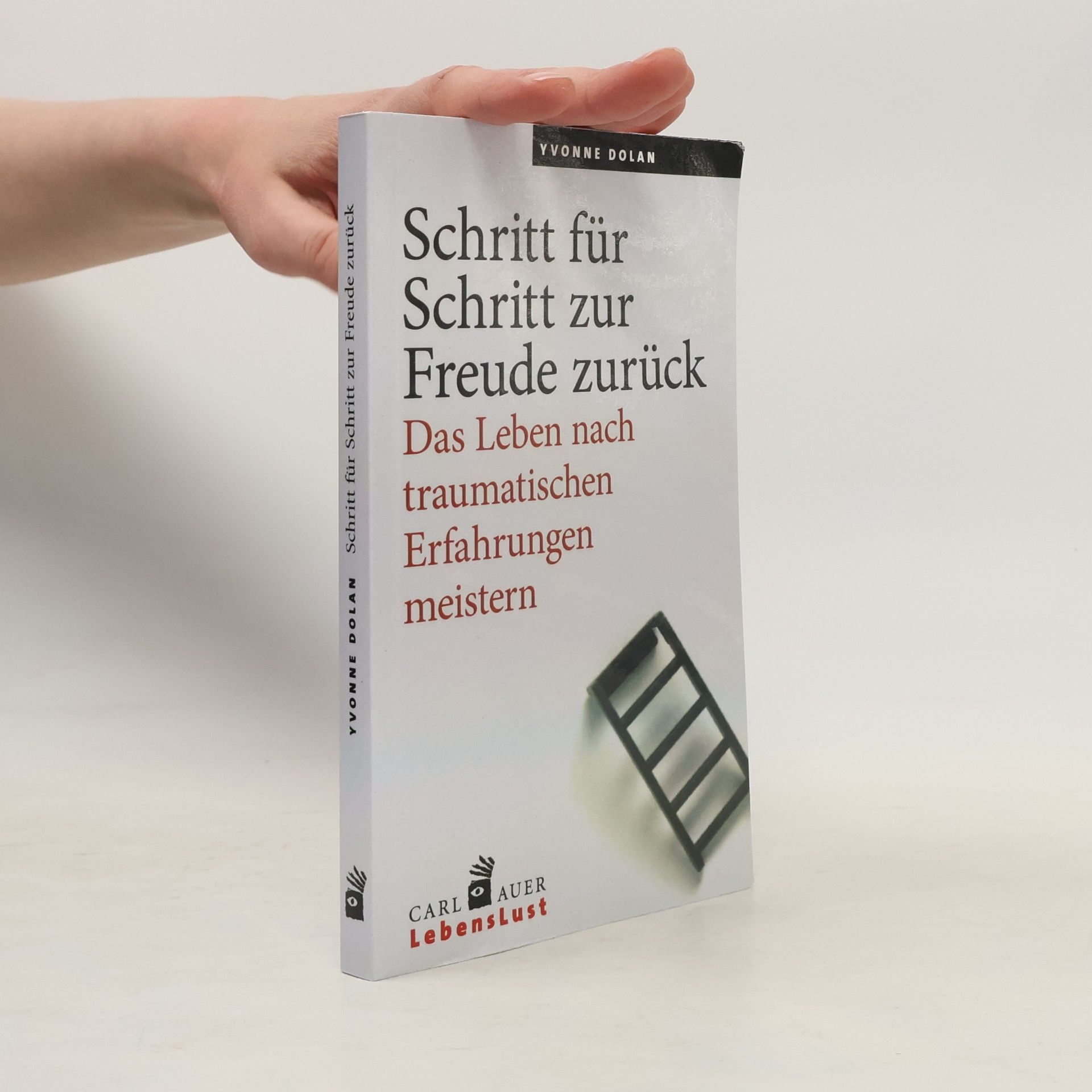 Yvonne Dolan Schritt für Schritt zur Freude zurück