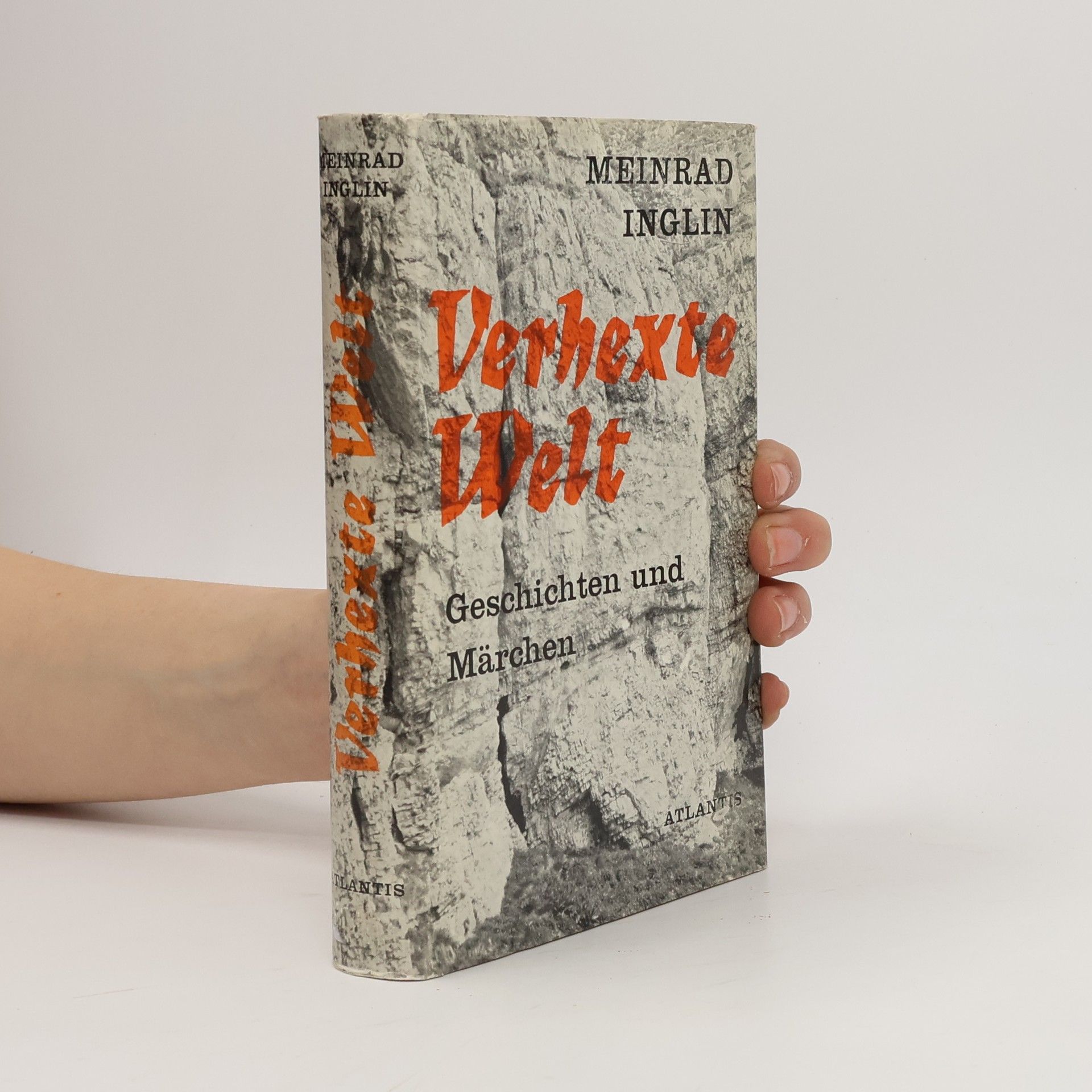 Meinrad Inglin Verhexte Welt