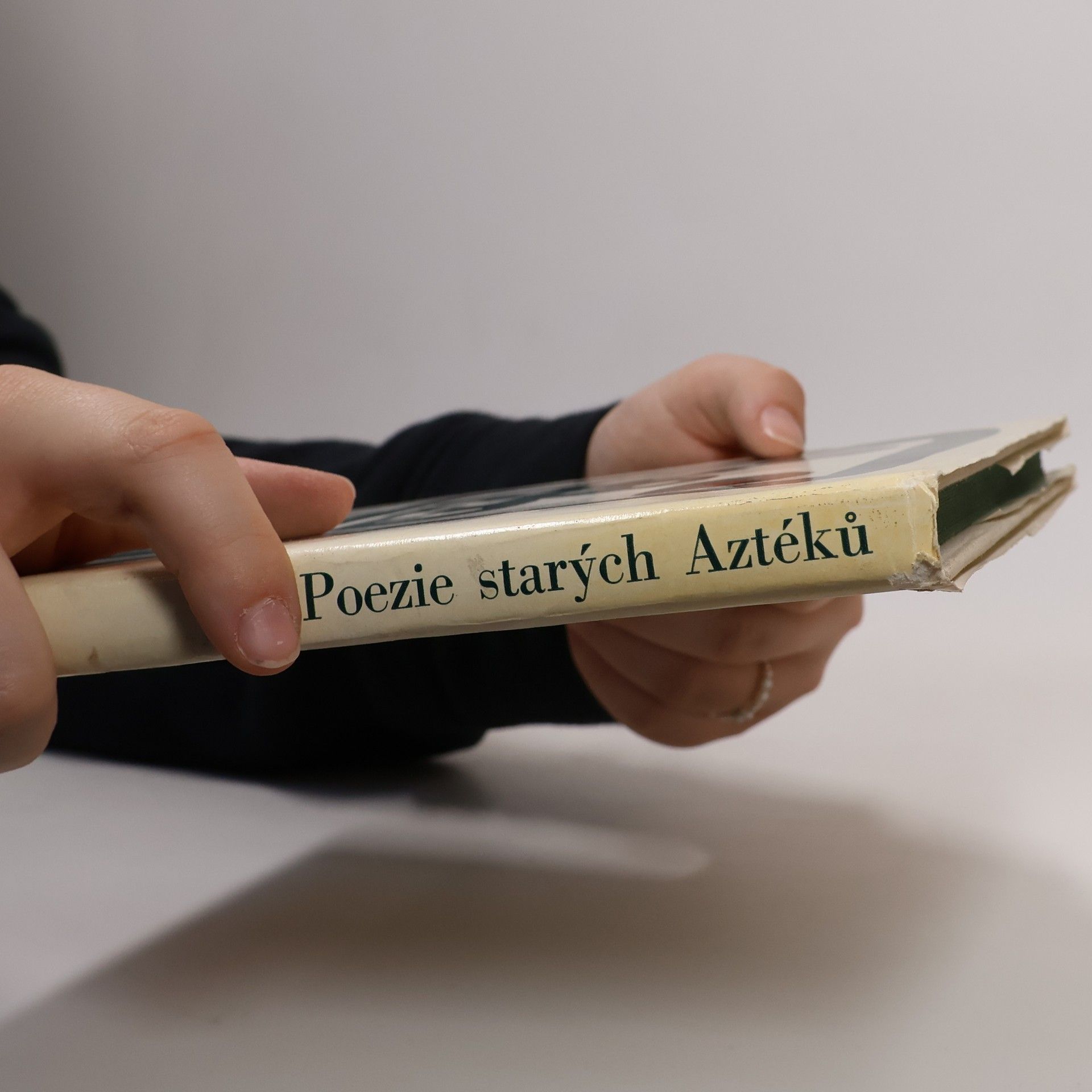 Vladimír Mikeš Tanec živlů. Poezie starých Aztéků