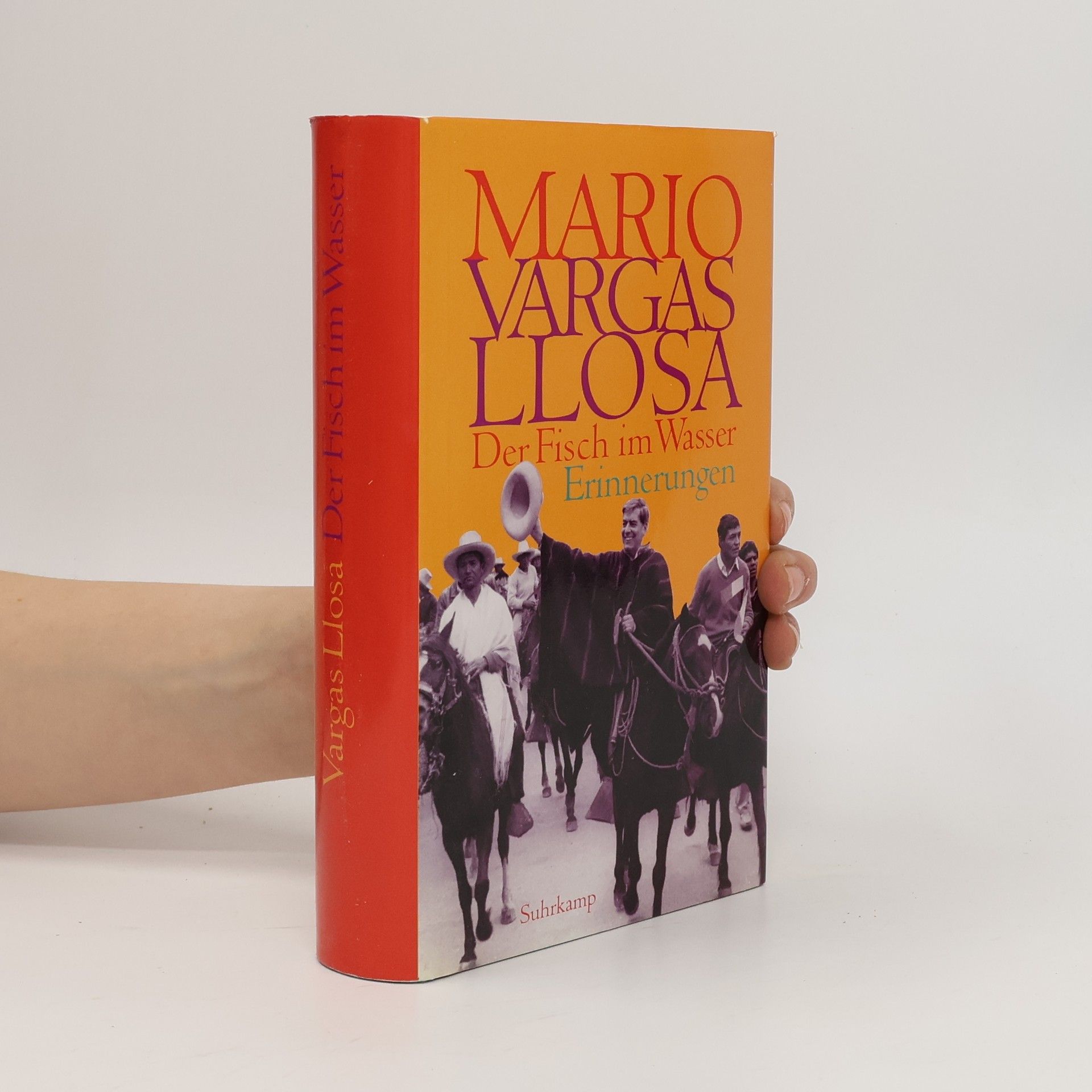 Mario Vargas Llosa Der Fisch im Wasser