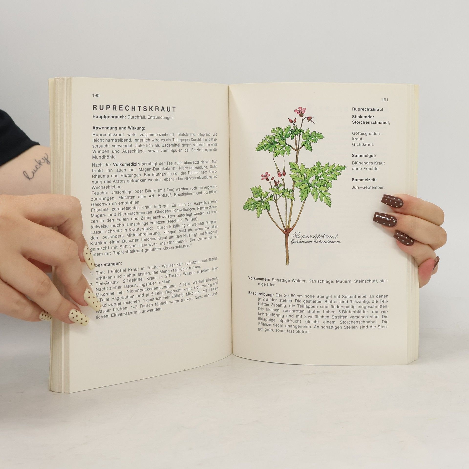 Autores varios Heilkräuter. Geschenke Gottes für Deine Gesundheit
