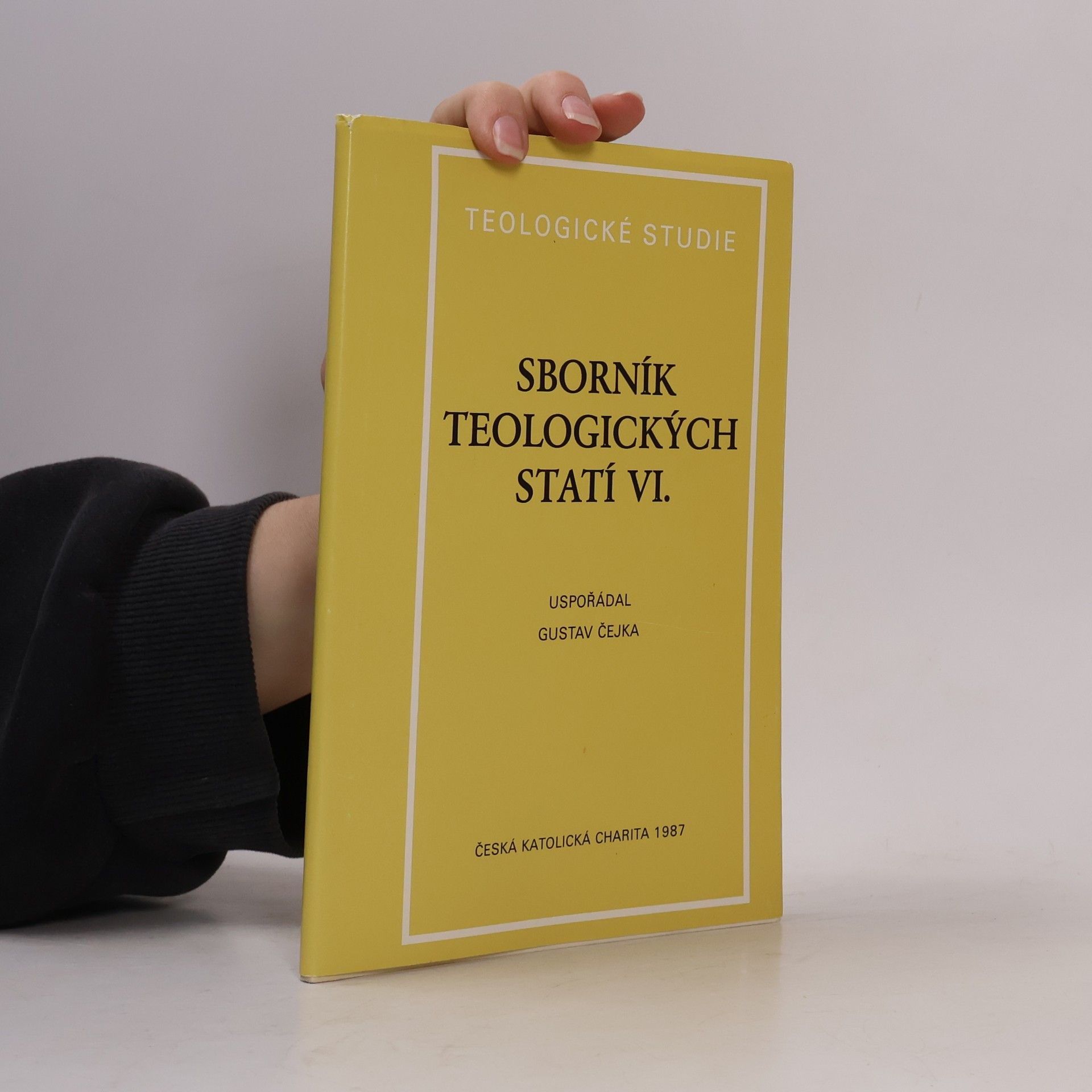 Collectif d'auteurs Sborník teologických statí VI.