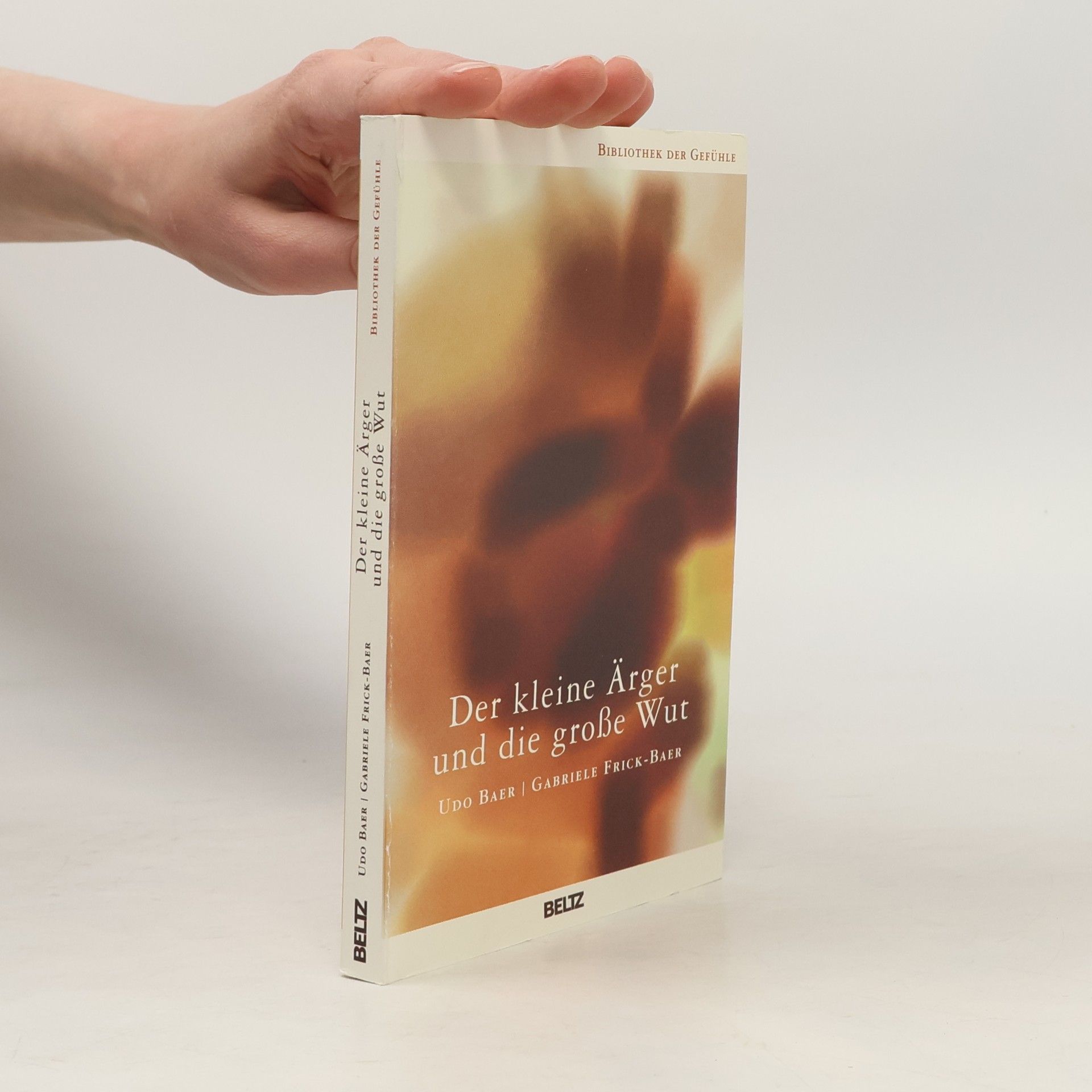 Der kleine Ärger und die große Wut