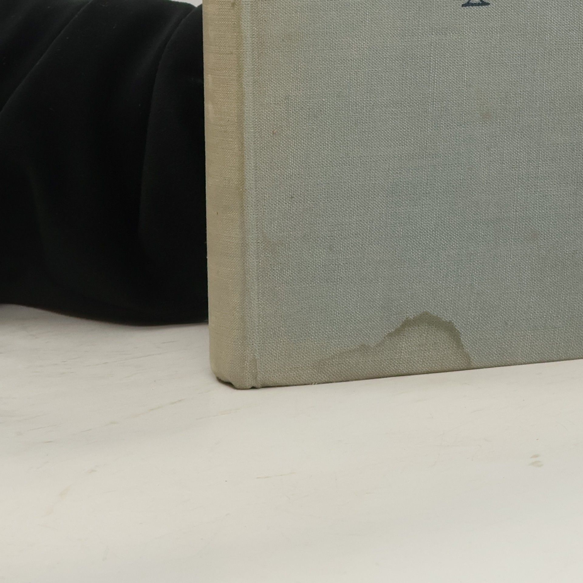 Friedrich Engels Vybrané spisy ve dvou svazcích. Svazek I.