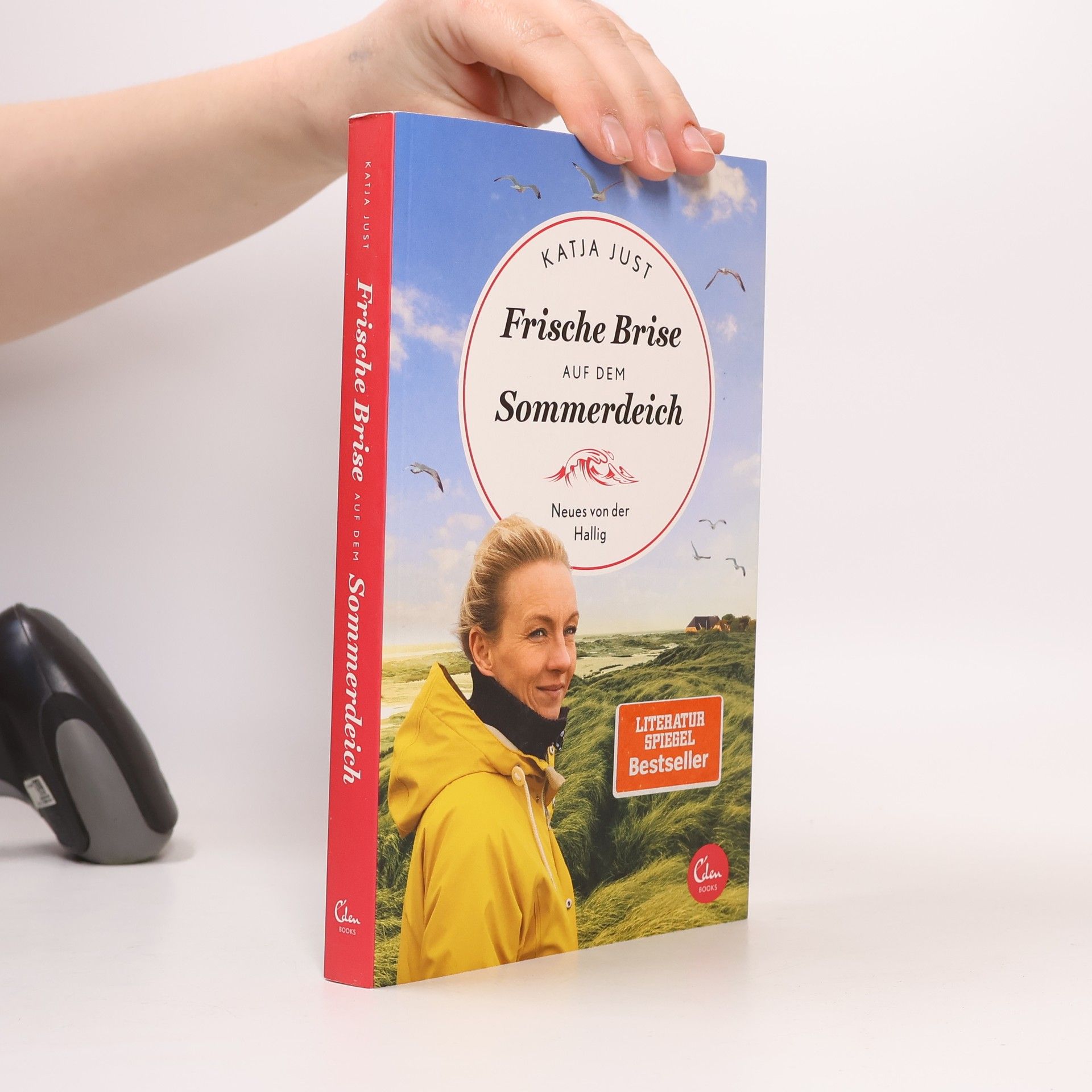 Katja Just Frische Brise auf dem Sommerdeich