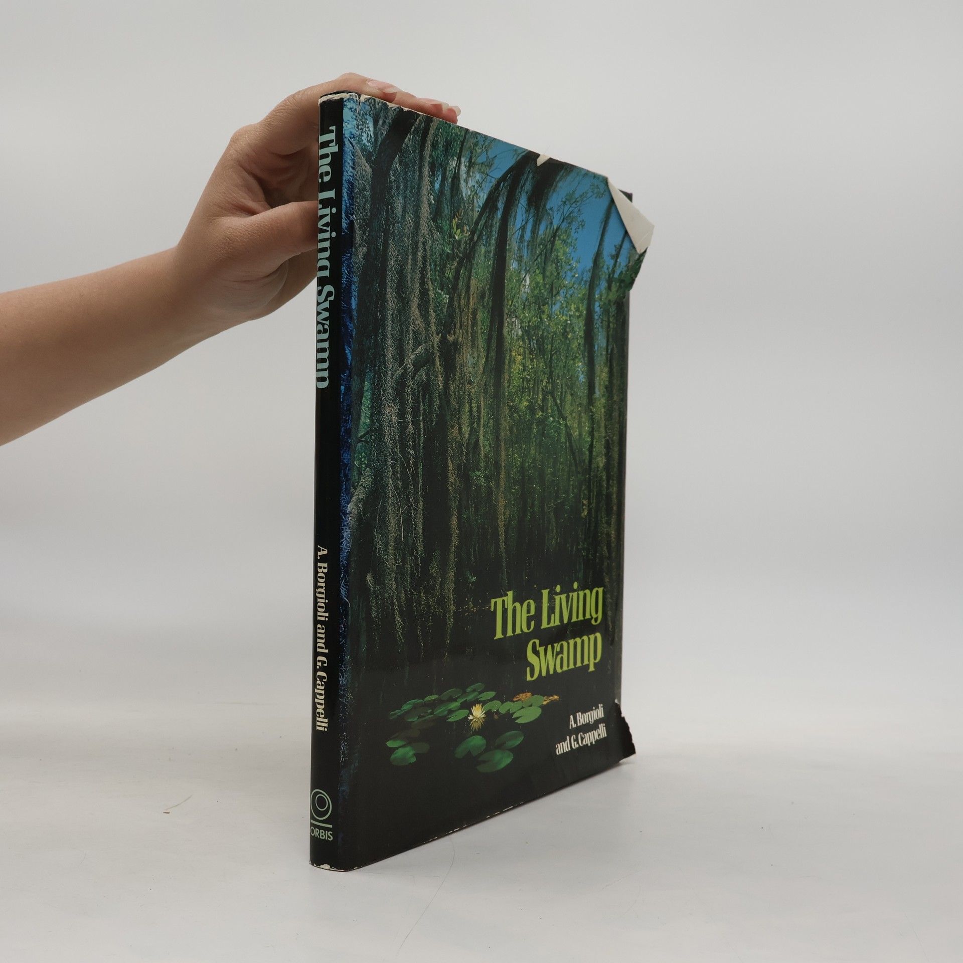 A. Borgioli The Living Swamp